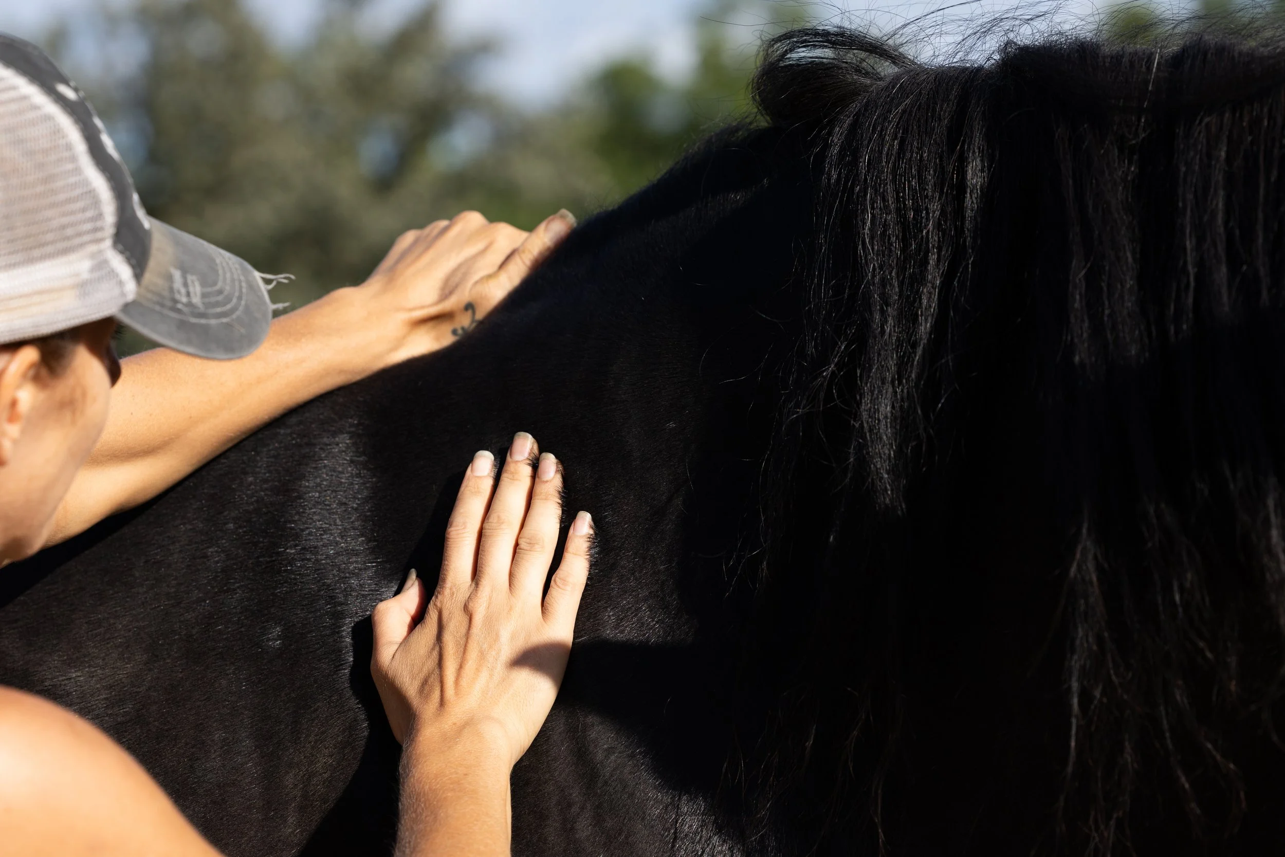 Nervous System Based Bodywork