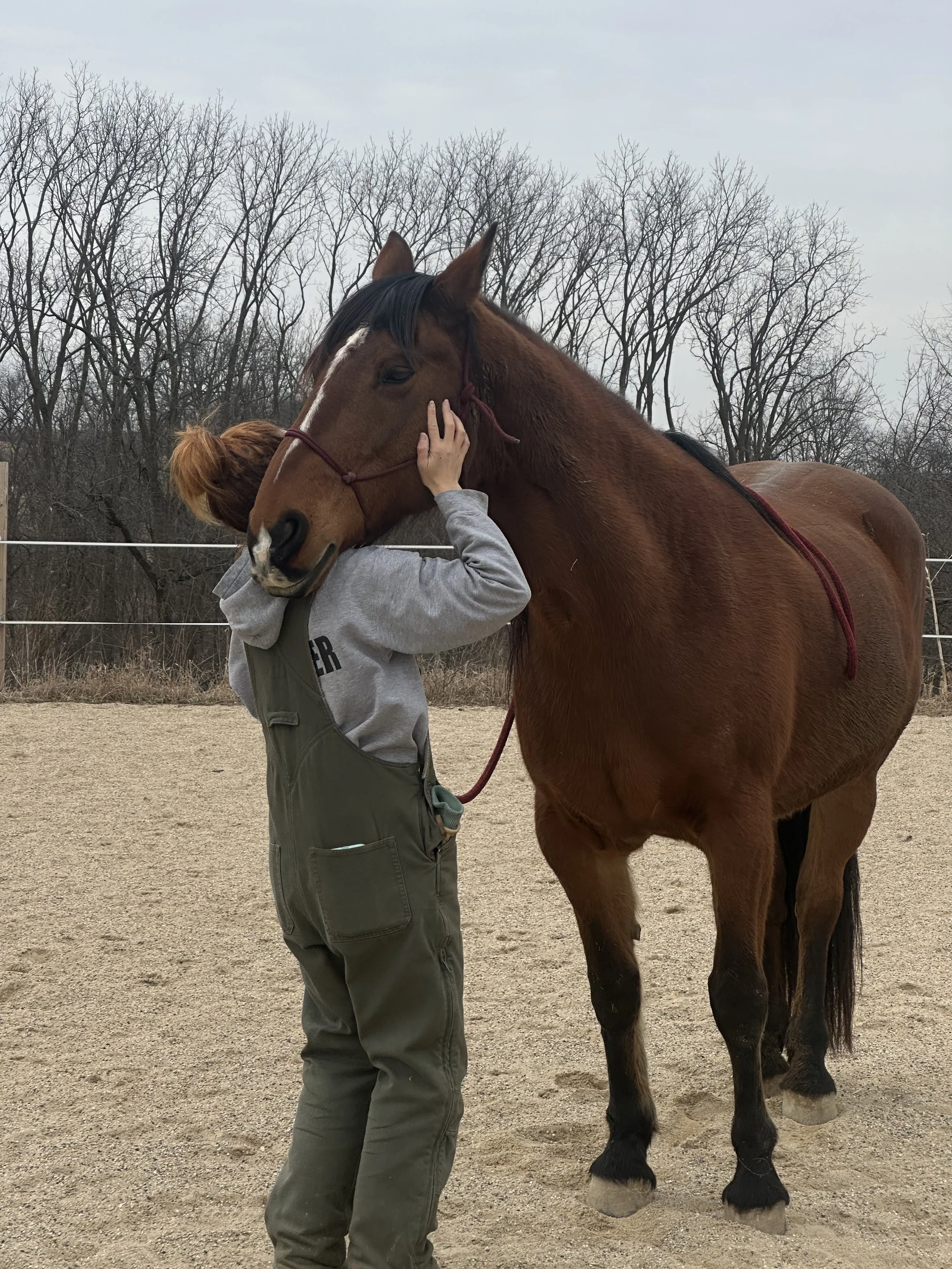 8-Week Intensive Integration Phase