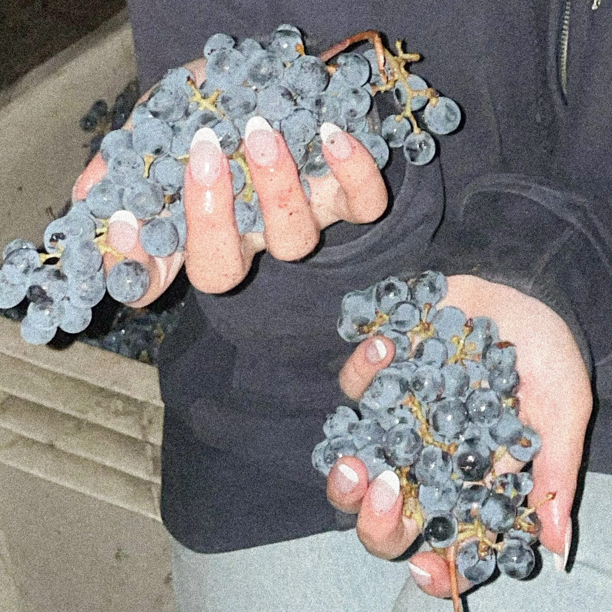 Olivia Gubel at Gubel Family Vineyards, ready for the cabernet harvest for Maison Maxine.