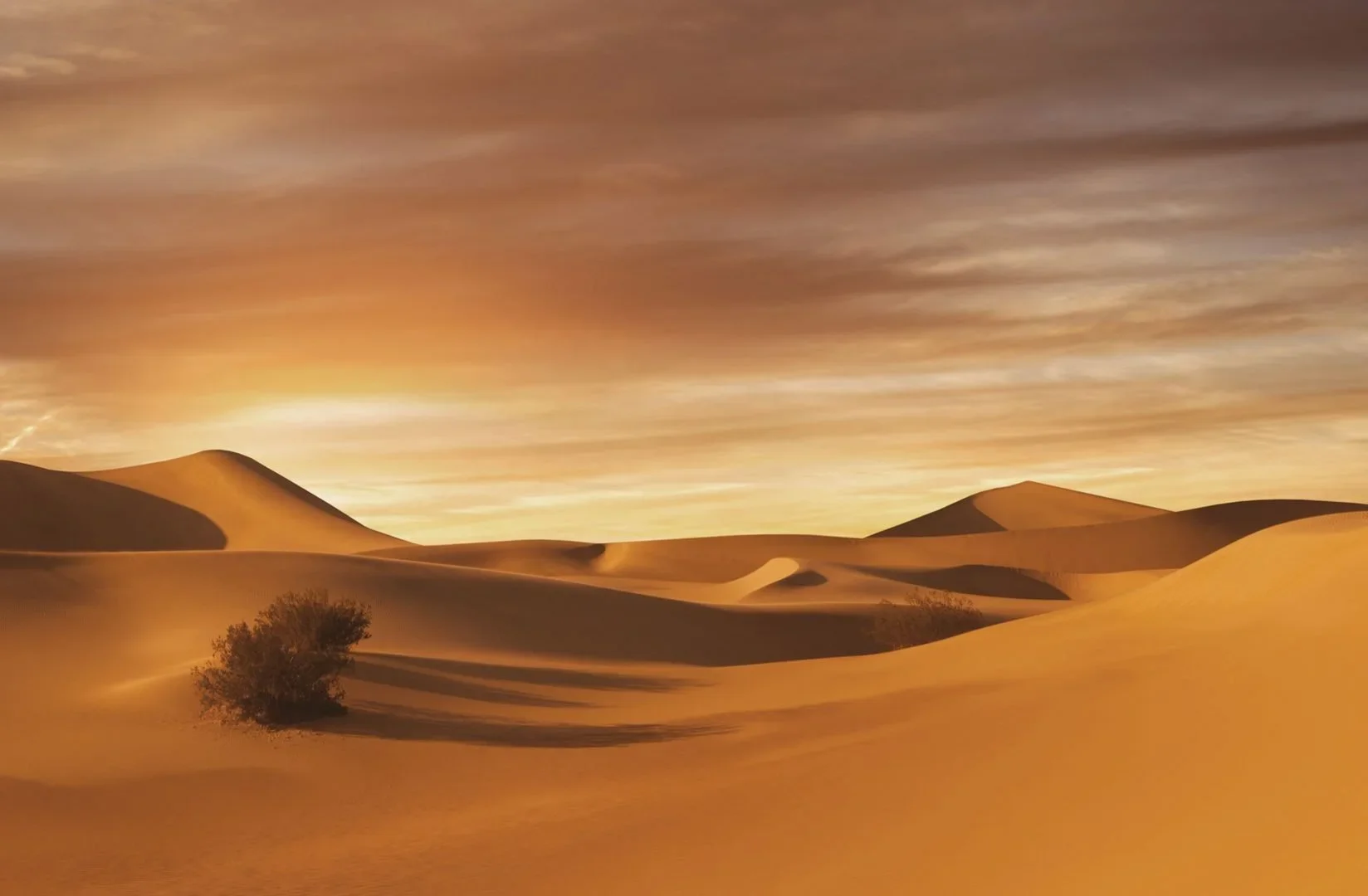 Desert landscape with rolling sand dunes, a lone shrub, and a colorful sky at sunset or sunrise with soft clouds.