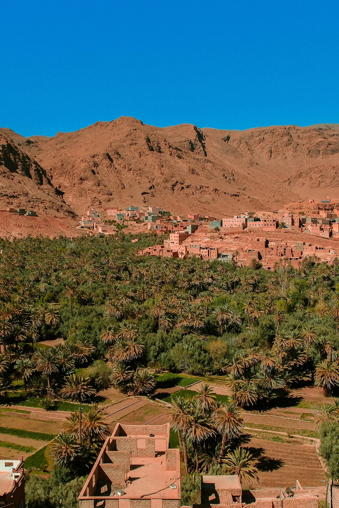 atlas-mountains-sahara-touring-bespoke-travel-luxury-private-tours.webp