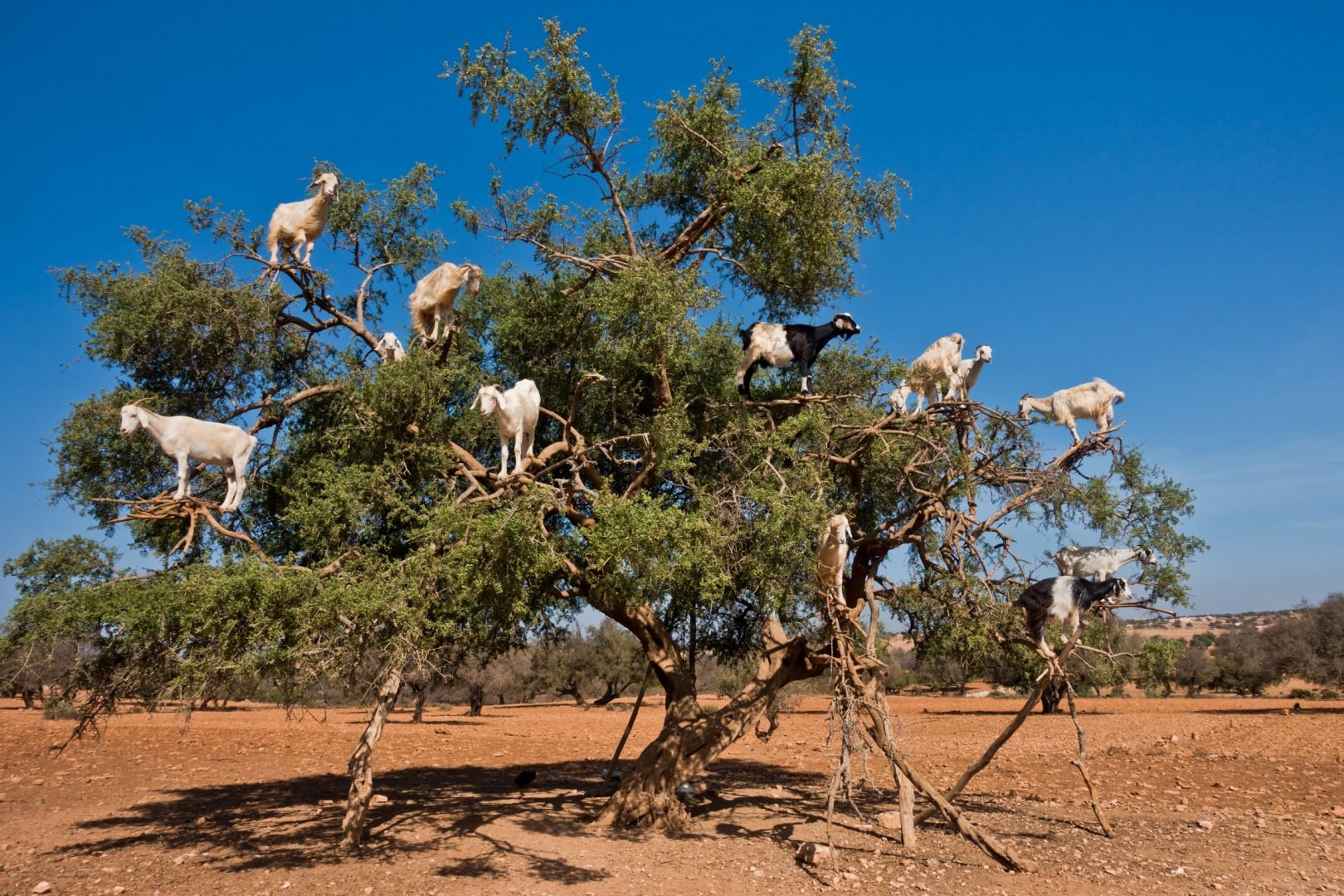 GettyImages-1009546796-scaled.jpg