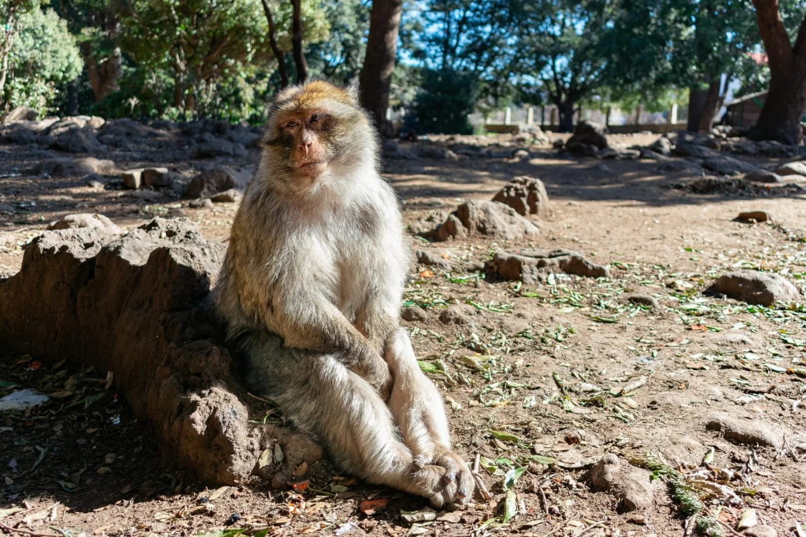 GettyImages-1143162665-scaled.jpg