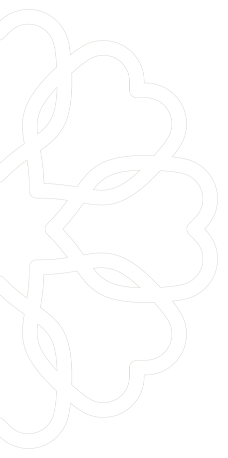 Outline of white flower shapes with connected petals and stems on a transparent background.