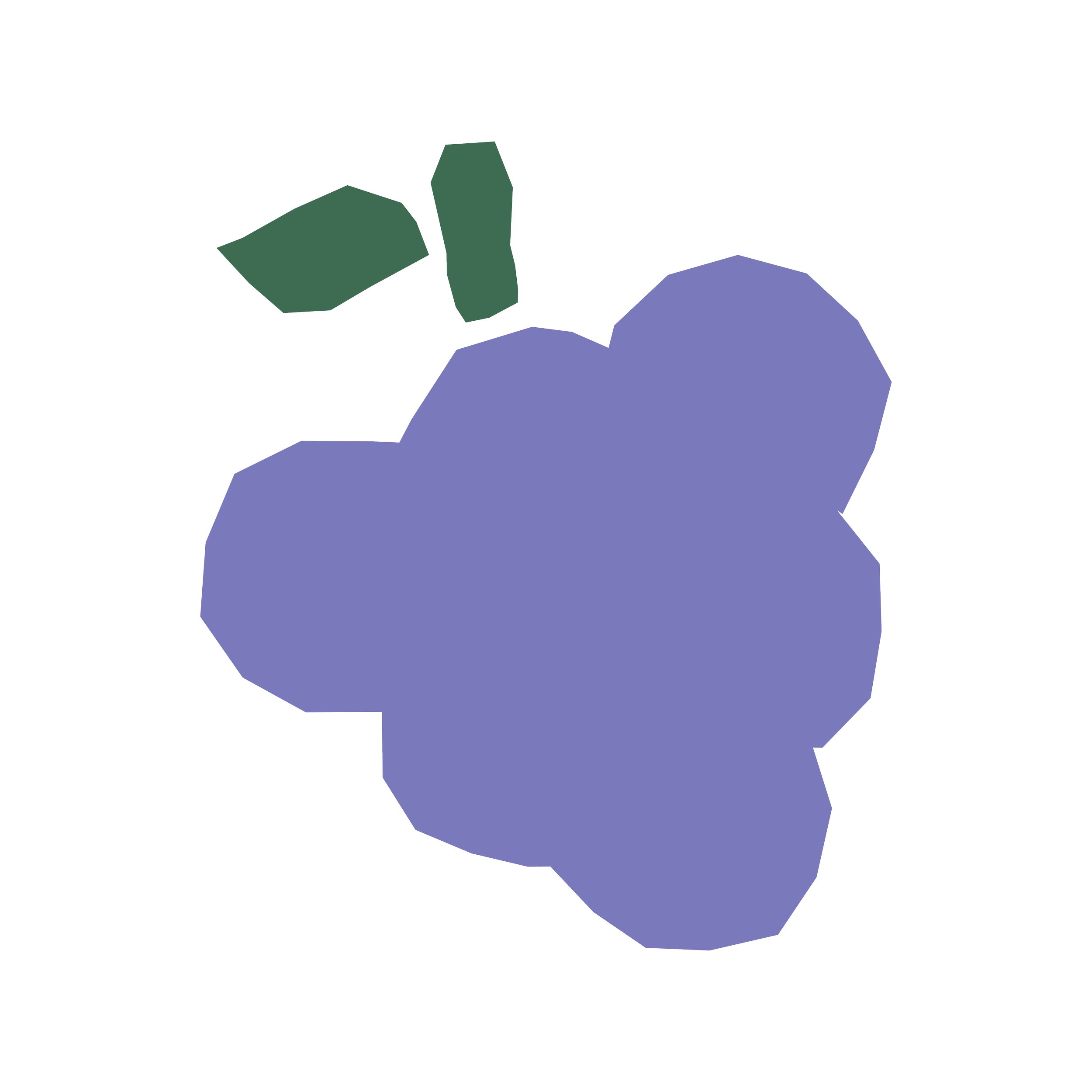 THE CRENSHAW FOOD HUB