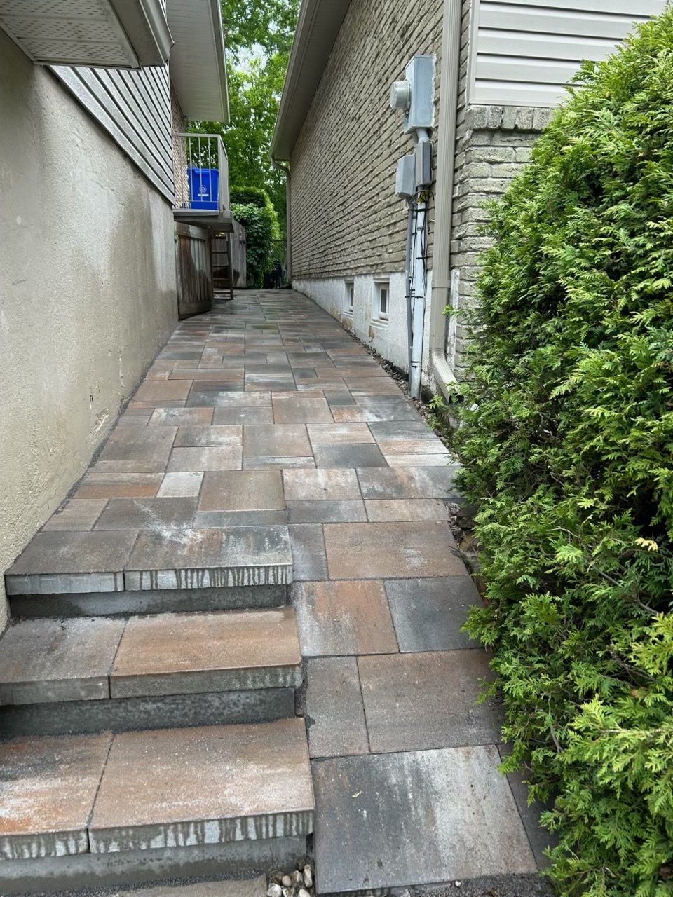 A narrow backyard concrete walkway with a partial stairs on the left, bordered by a beige wall and a house on the right, with a green bush on the right side and utility boxes attached to the house wall.