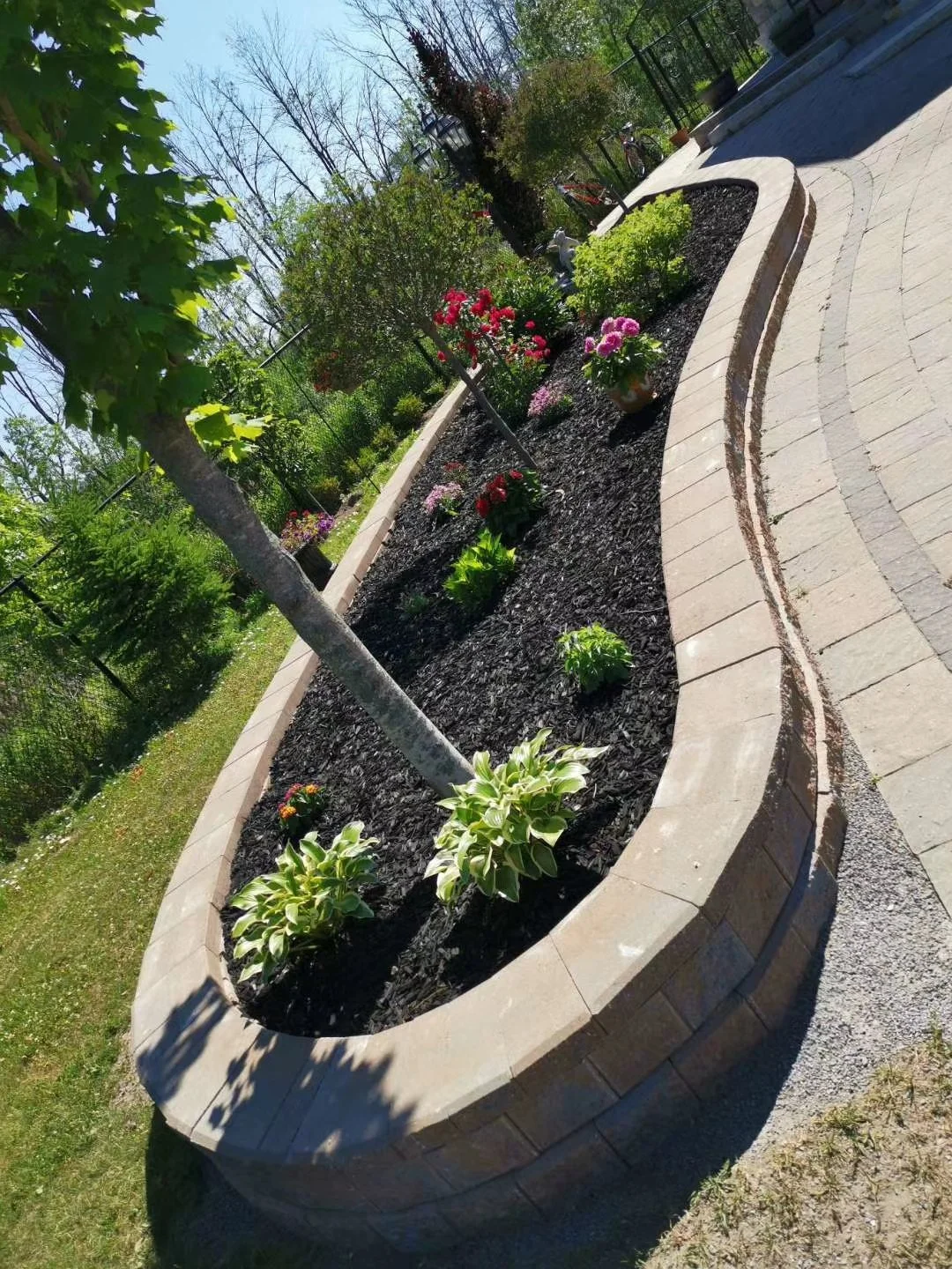 A curved garden bed with young plants and flowers, bordered by a stone edge, in a green outdoor setting with trees and a pathway.