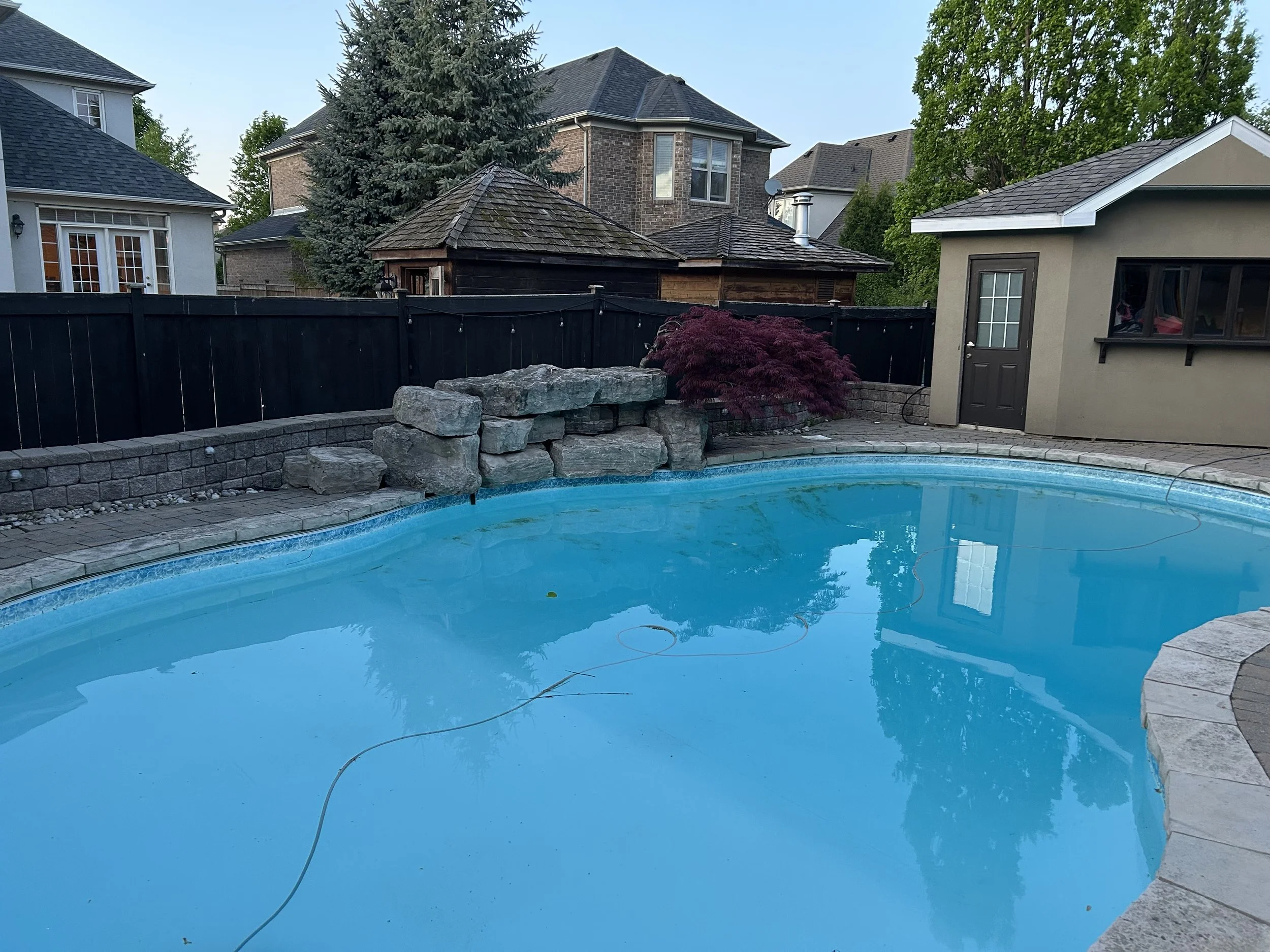Empty backyard swimming pool with a stone border and a black fence surrounding it. In the background, several houses and trees are visible, with a small shed or outbuilding on the right.
