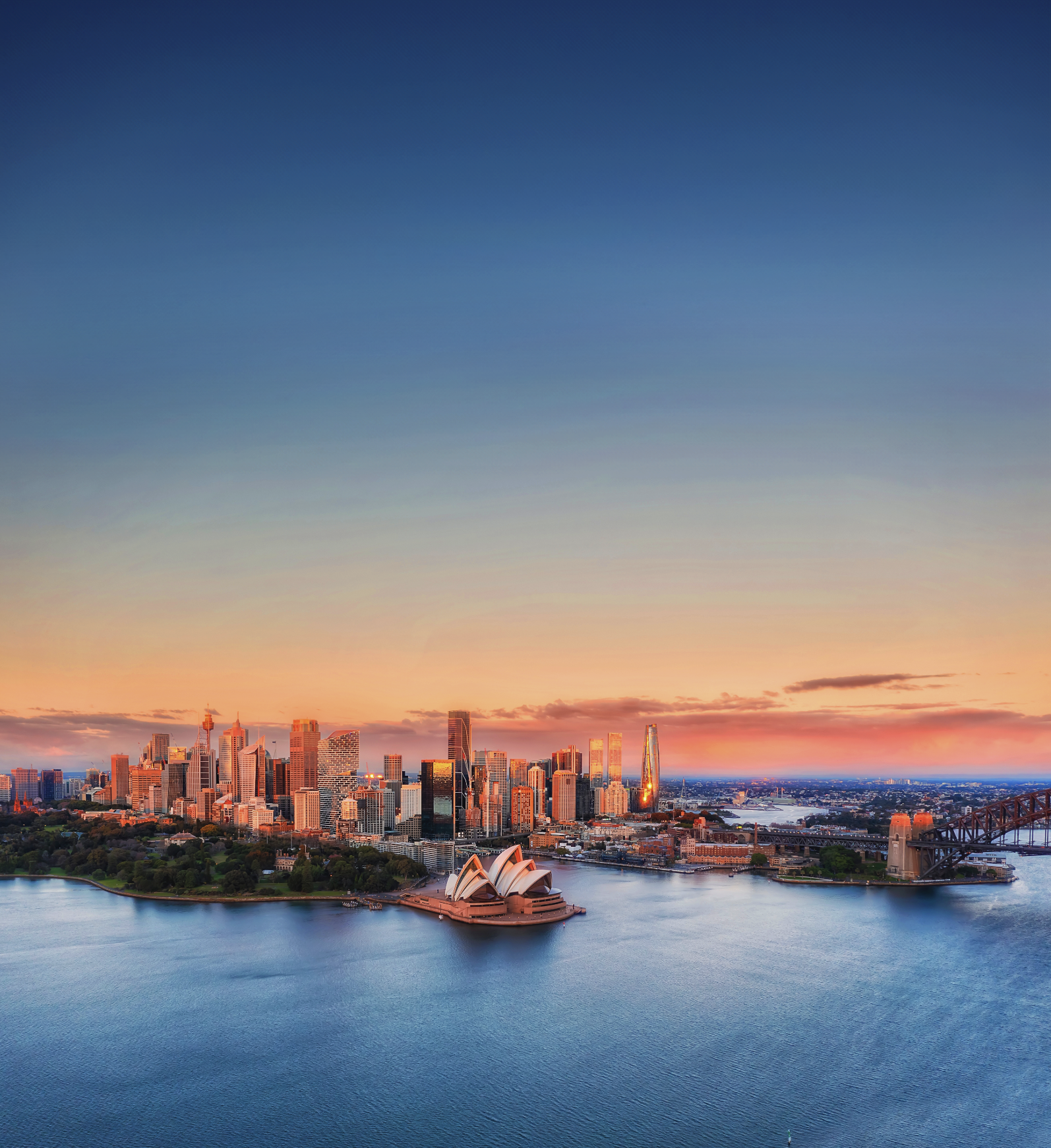 Screenshot 2026-02-22 at 1.24.04 PM.png