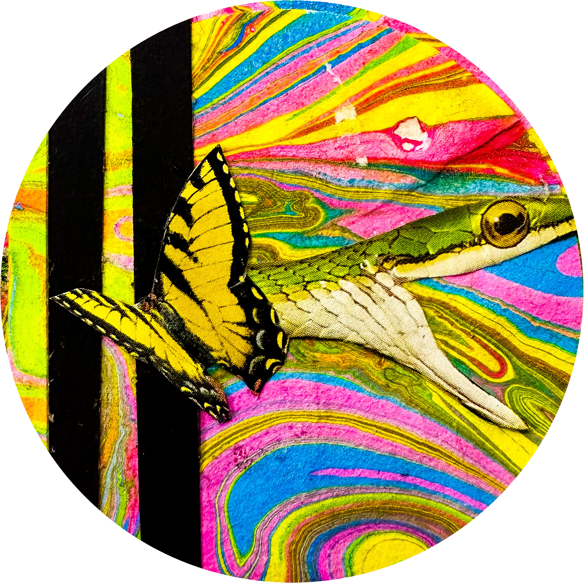 This is an analog collage featuring a green snake and a yellow butterfly with colorful paper in the background.