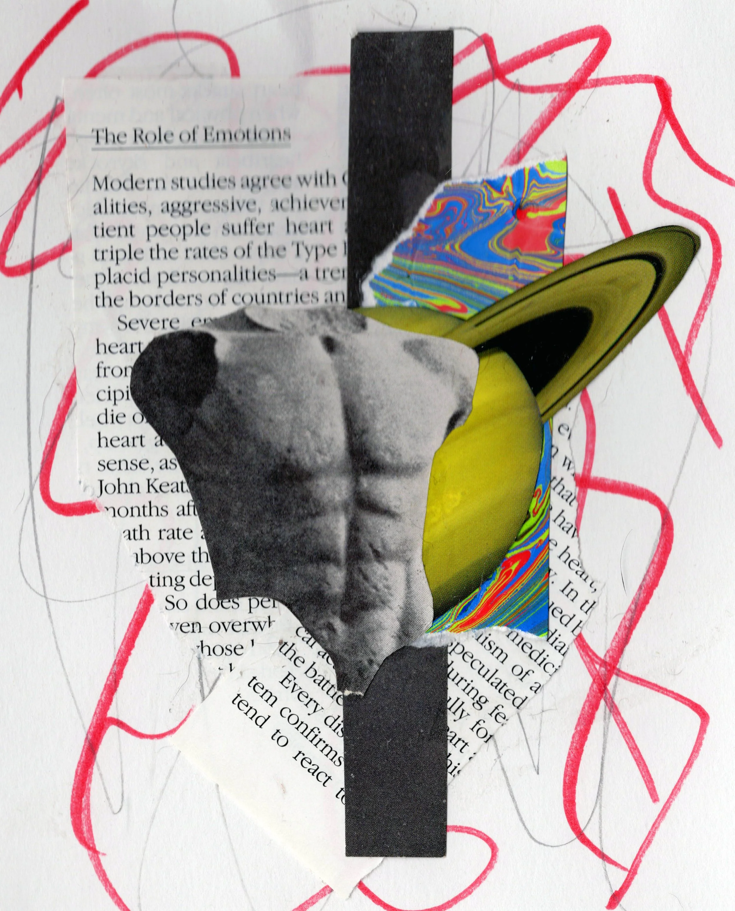 The Role of Emotions