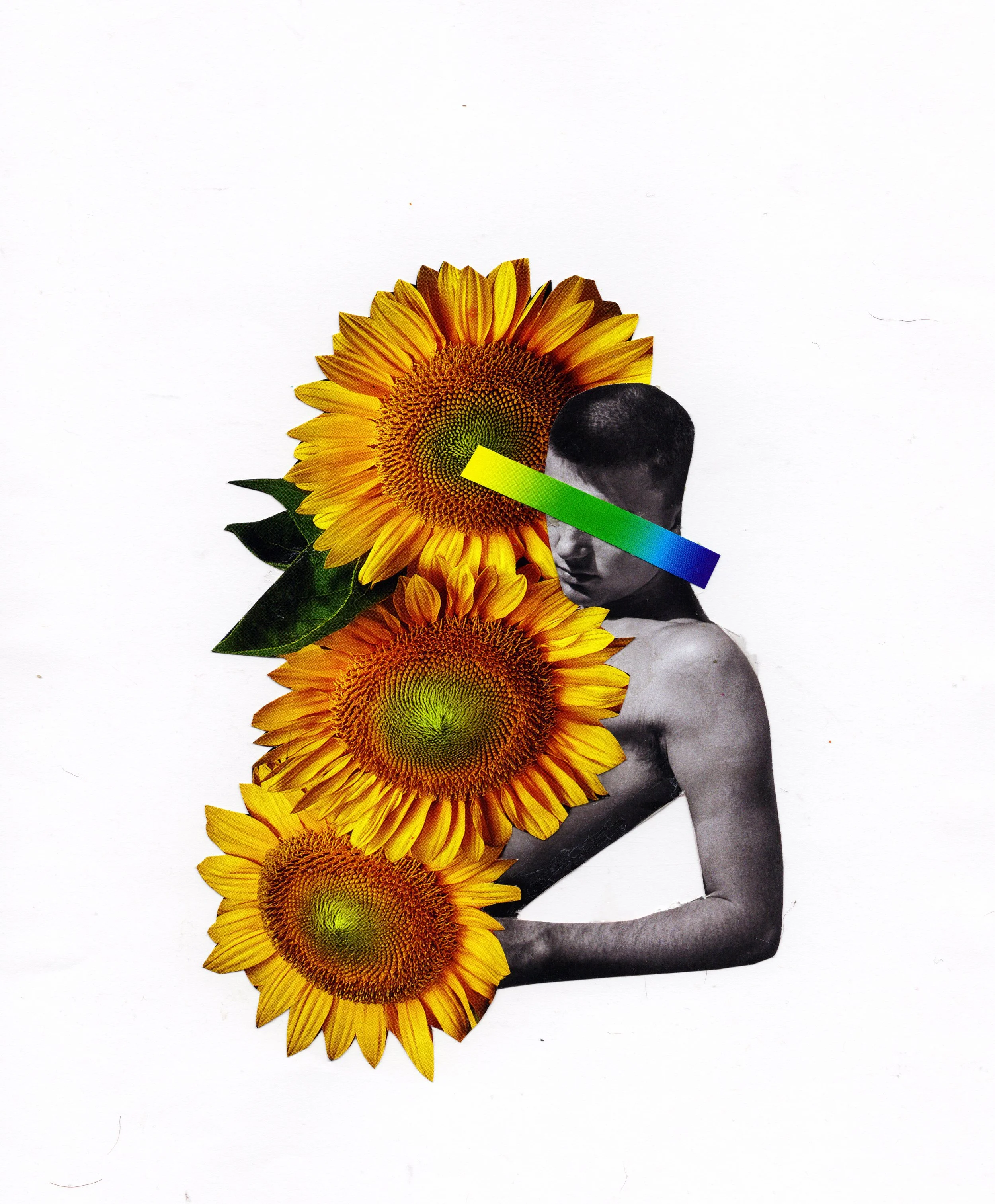 Sunshine of Your Love