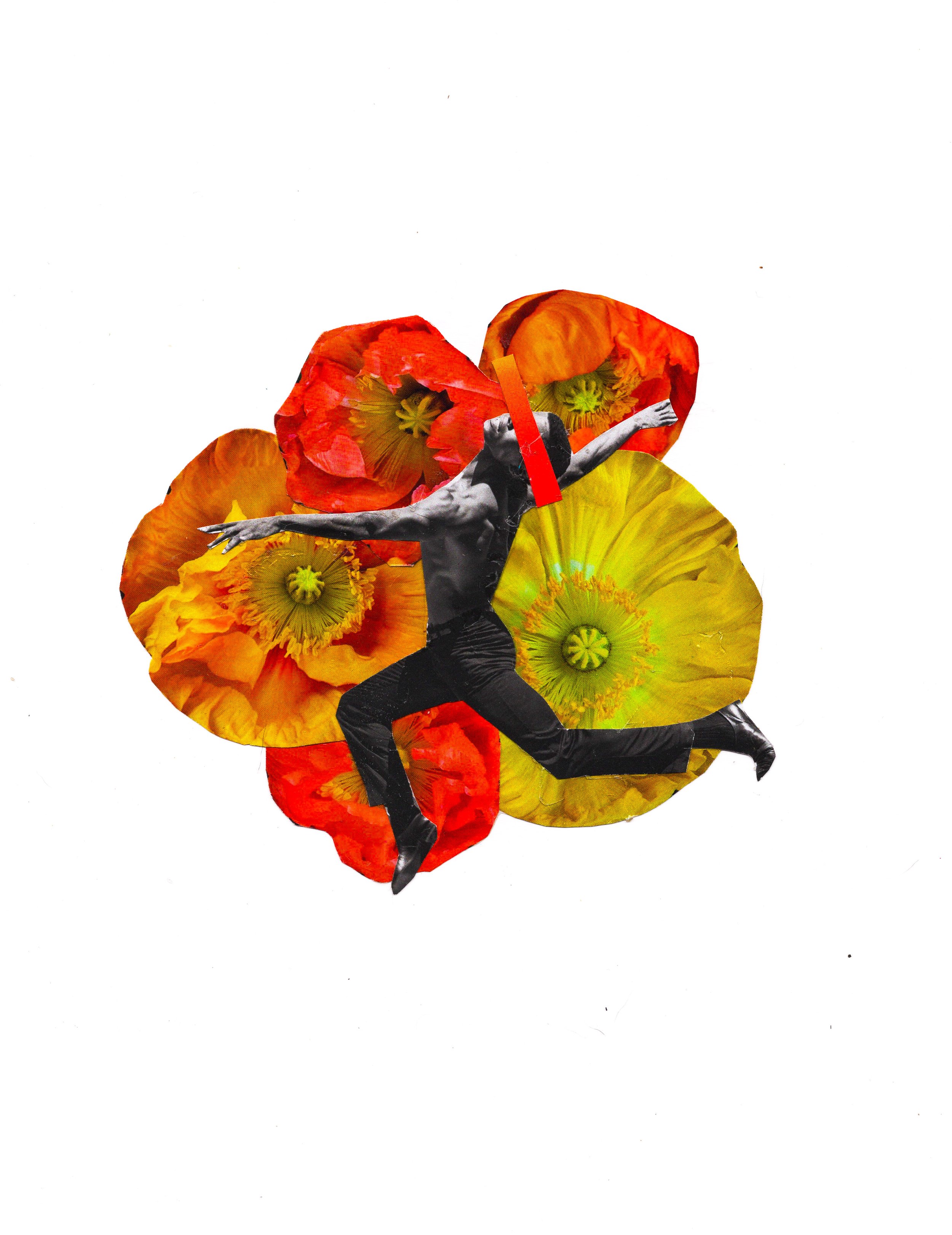 Blossom (2026)