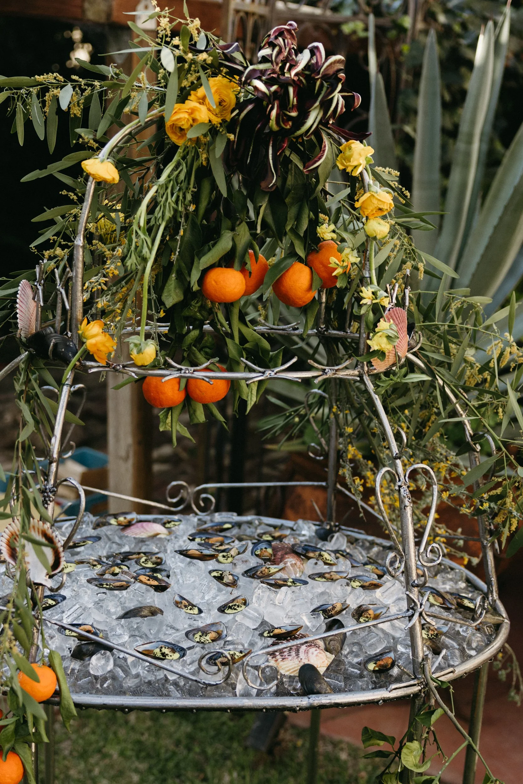 Festa Della Donna 2026-2138.JPG