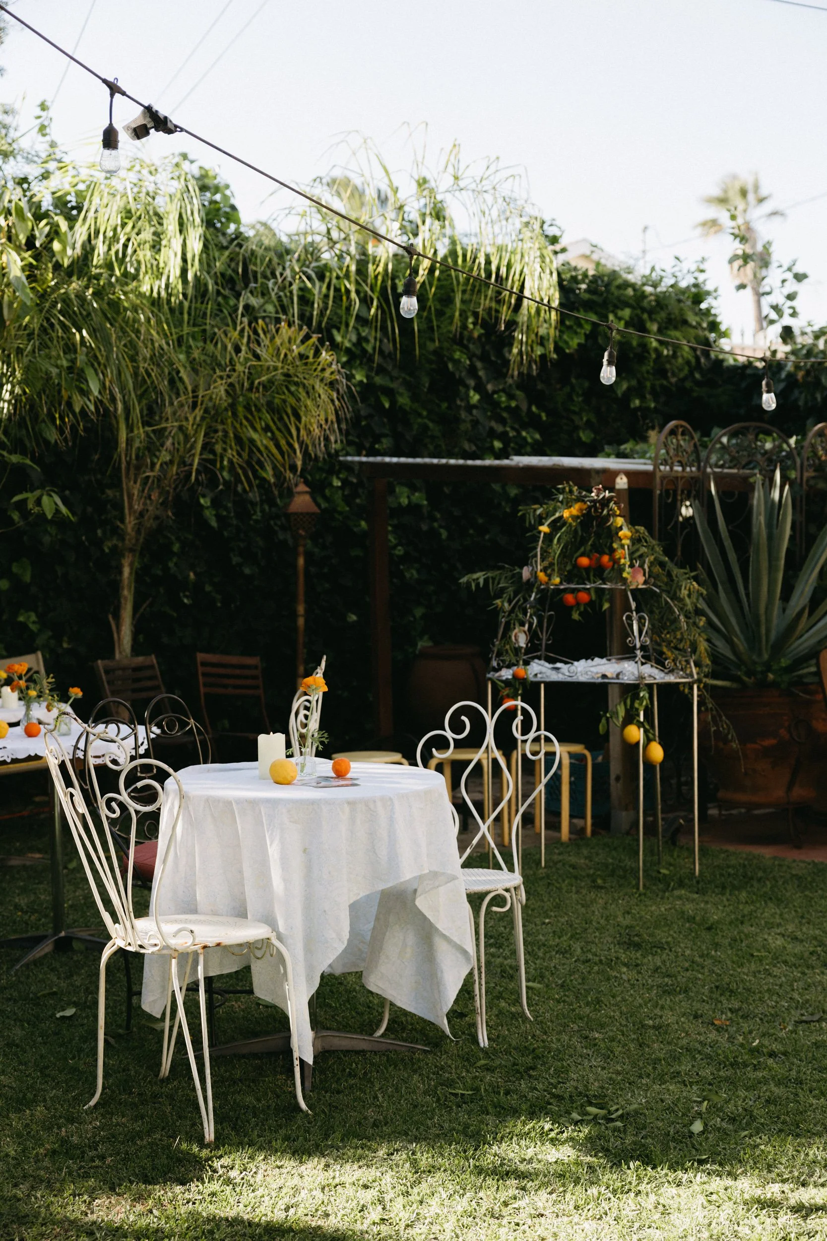 Festa Della Donna 2026-2080.JPG