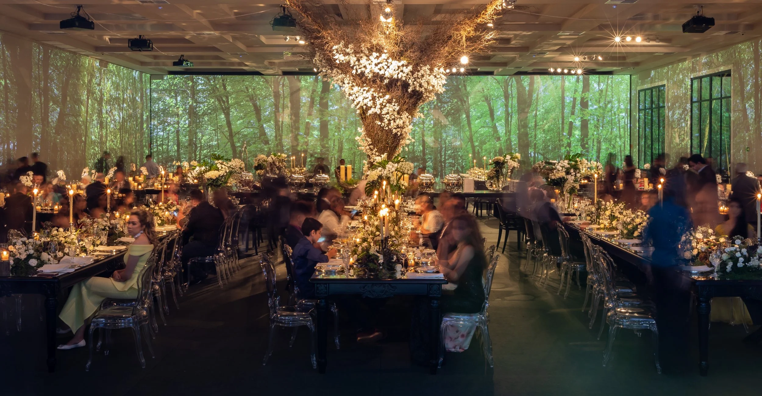 02-Floresta-Viva-Casamento-Decoração-Projeção-Mapeada-Curitiba-Ranzolin-Eventos-e-Experiências-jpg.jpg