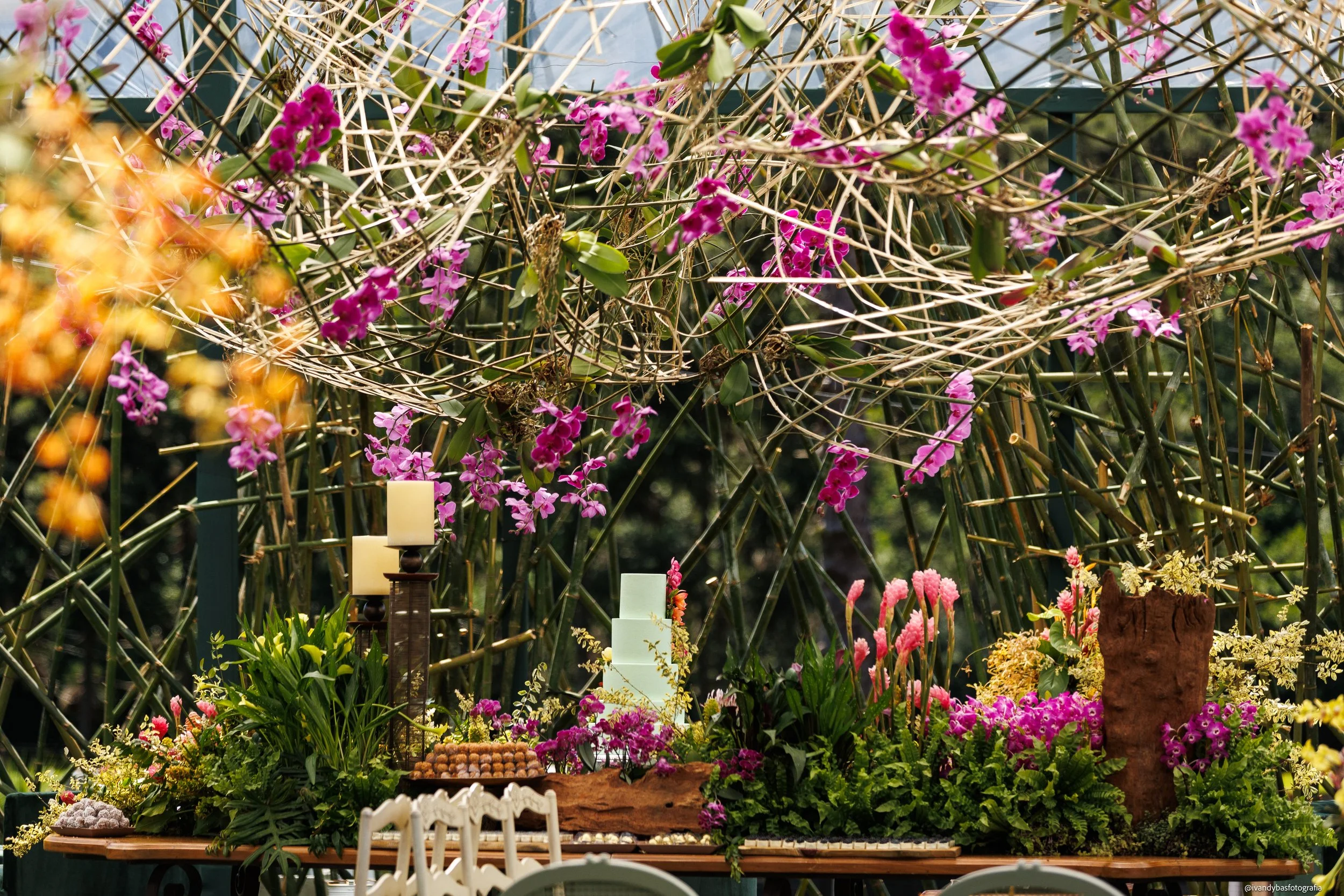 Trópico Floral