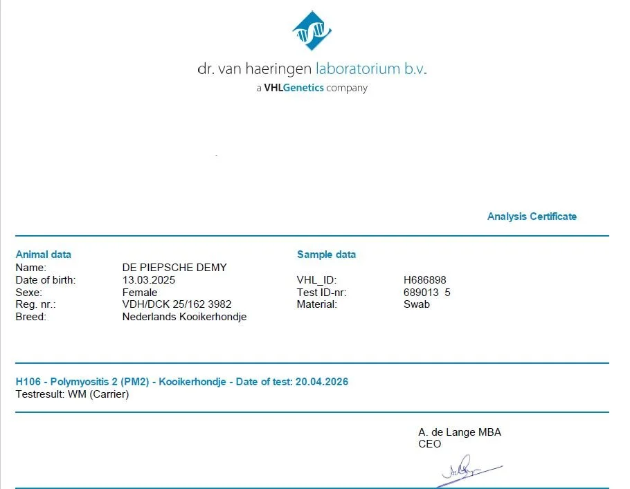 VHL Genetics analysis certificate for Kenya, De Piepsche Demy, a Nederlandse Kooikerhondje, showing her WM carrier result for Polymyositis 2 (PM2).