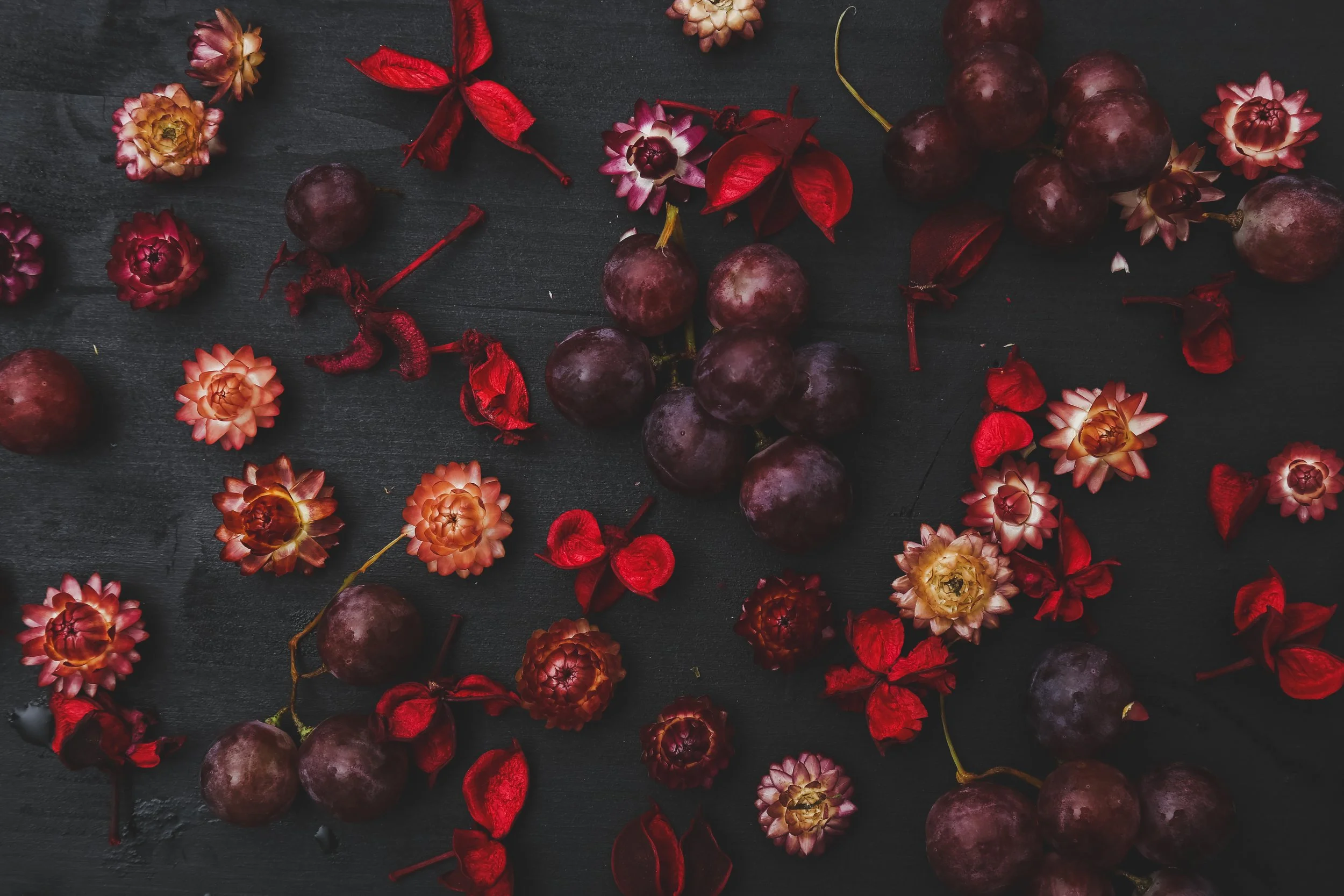 Dried fliowers with a dark romance vibe