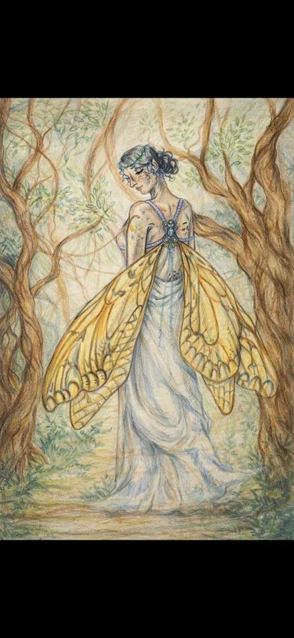 Custom Pen or Pencil Sketches