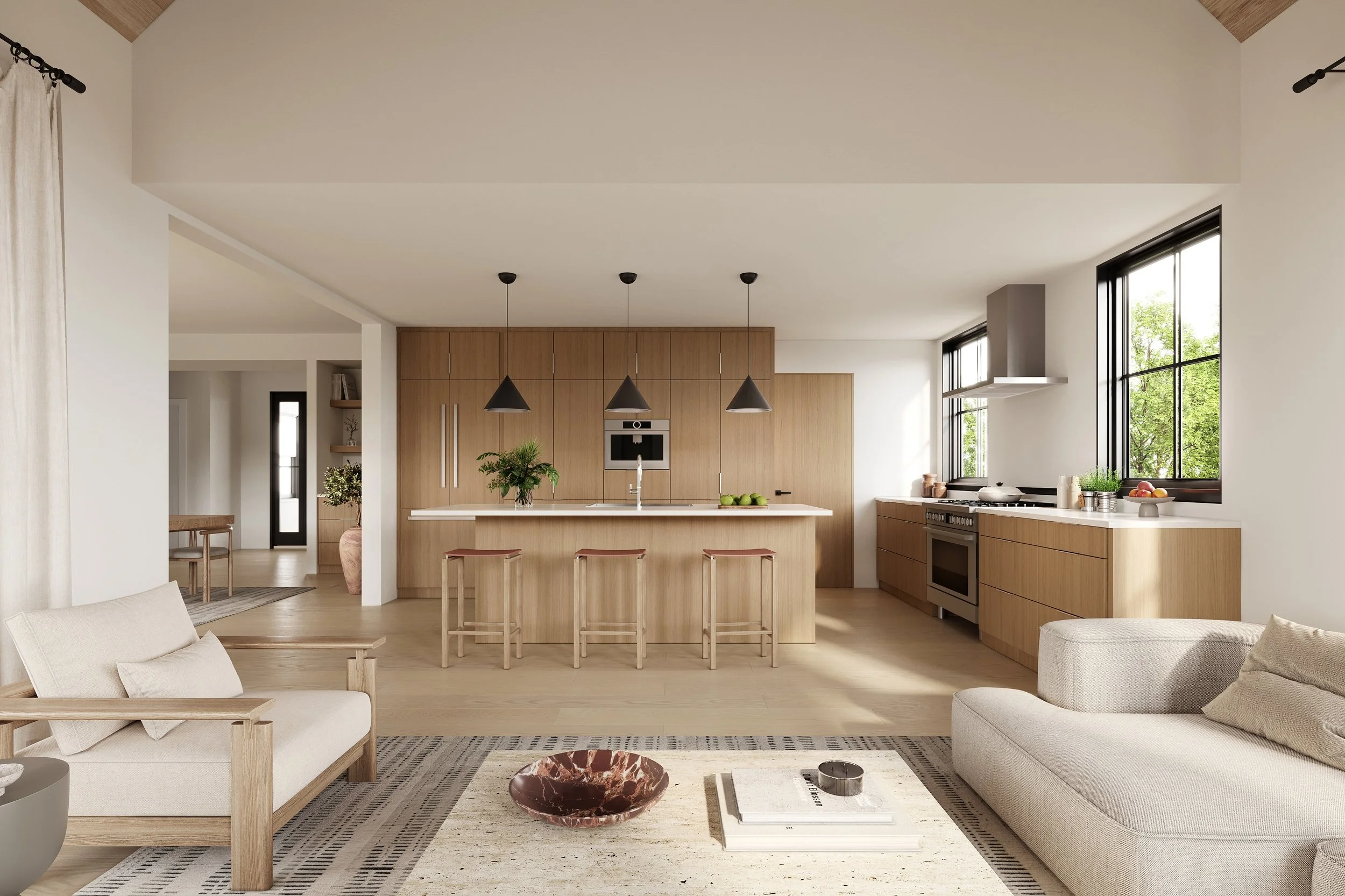 Split Visualization - Kitchen.jpg