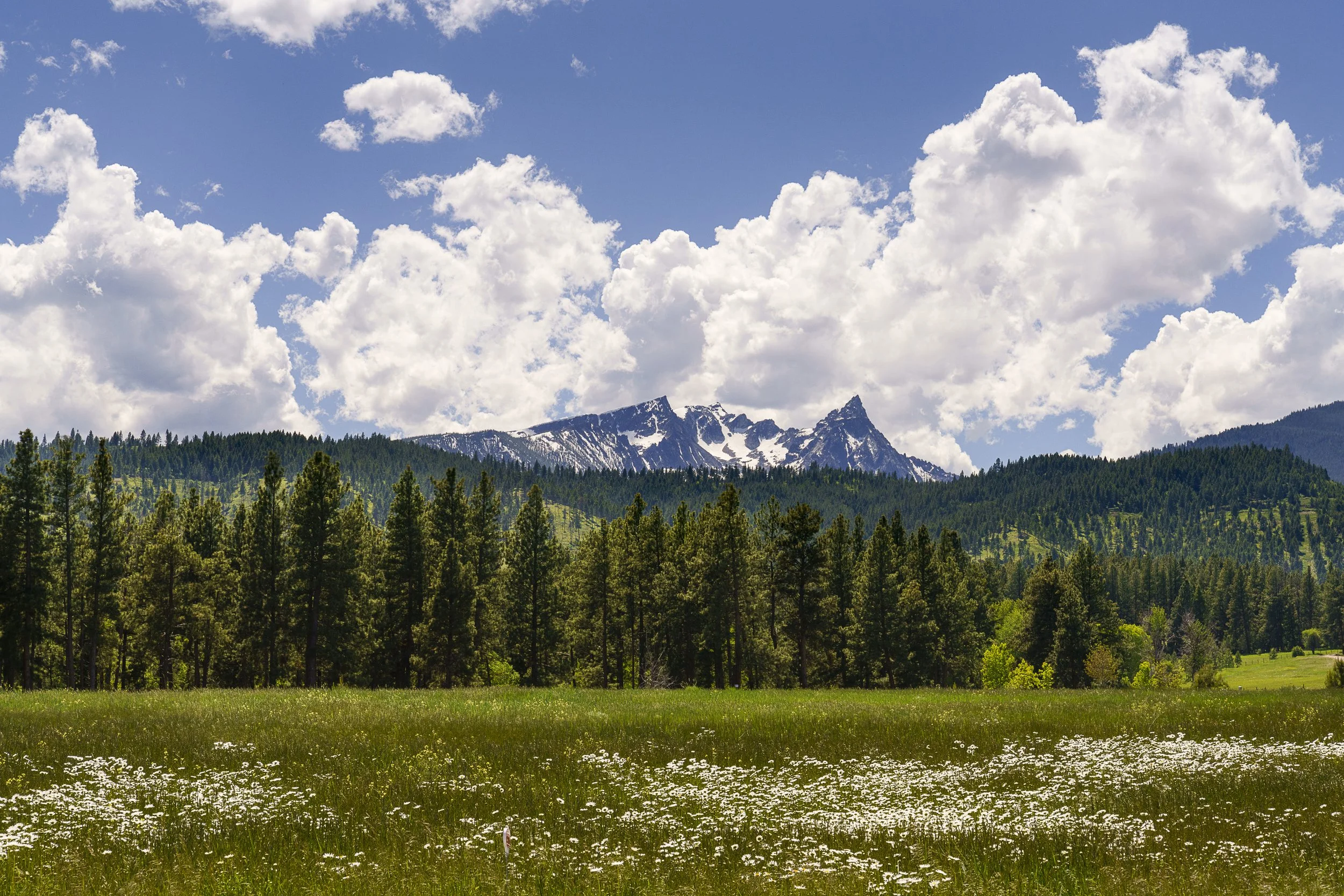 Mountain Views