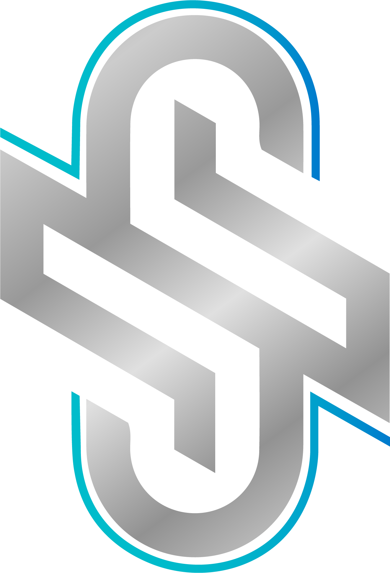 Premier Polished Solutions