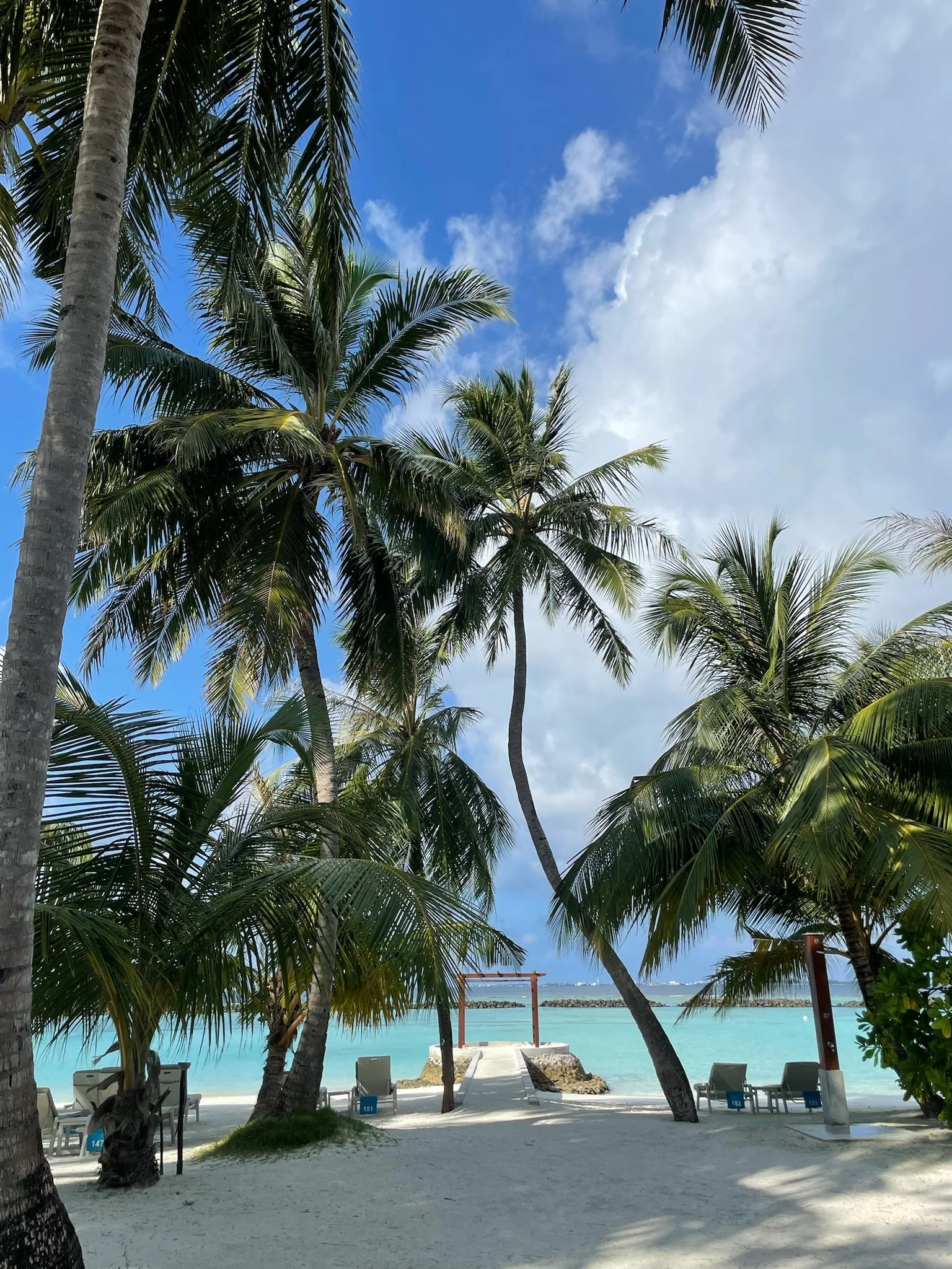 Starter Video Package