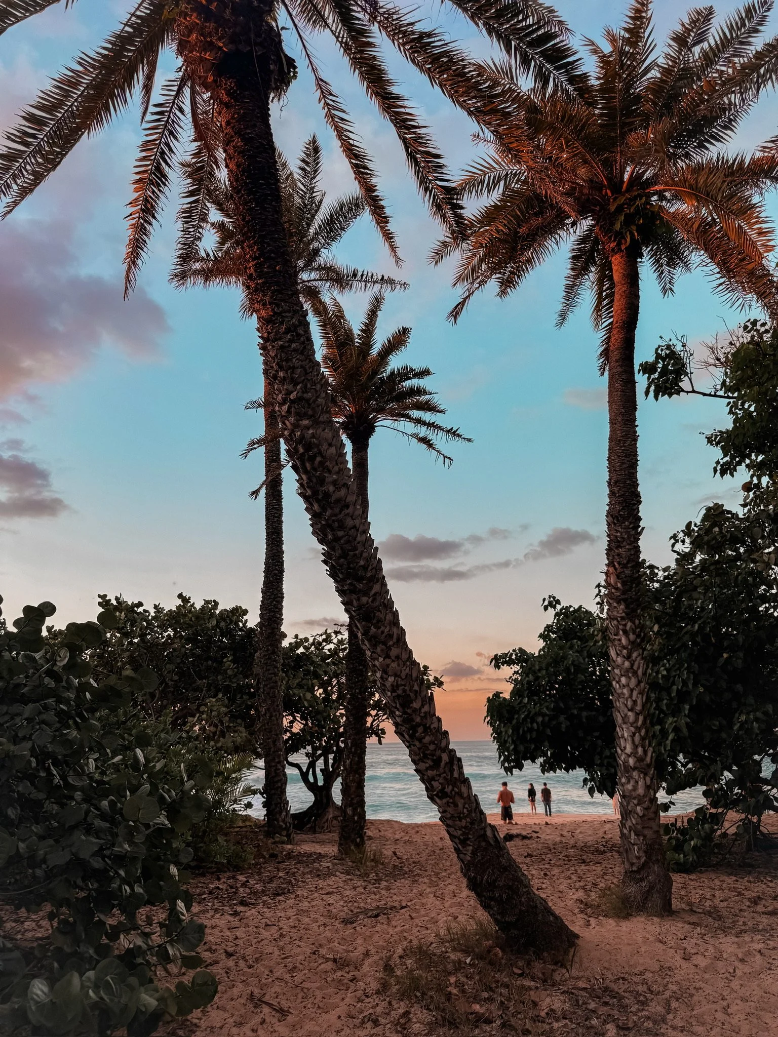 Sunset on a beach with palm trees and a few people walking near the shoreline.