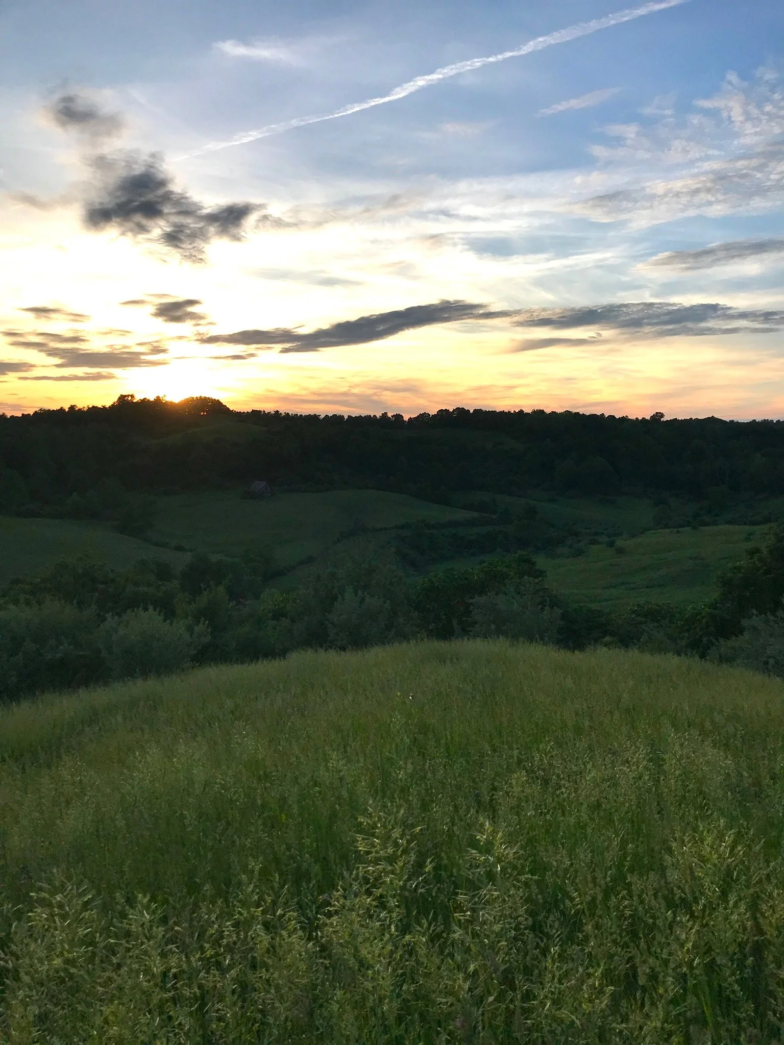 Sunset over green rolling hills with scattered trees and a sky with clouds and contrails.