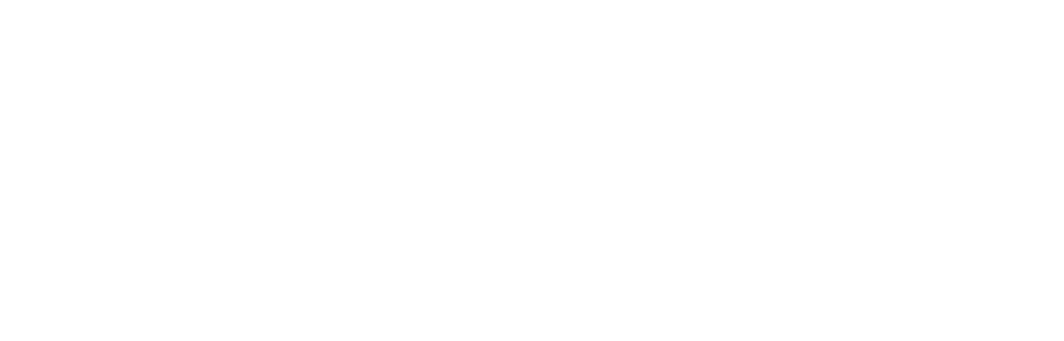 Brooklyn the Kid