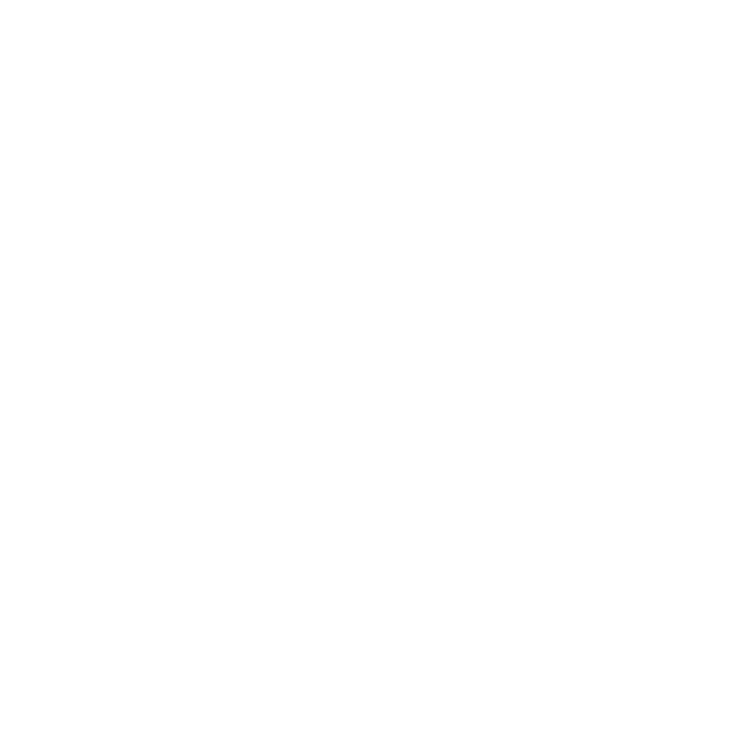 Icon of a shield with a circular arrow inside, connected to a horizontal line with three circles, representing brs Data Security
