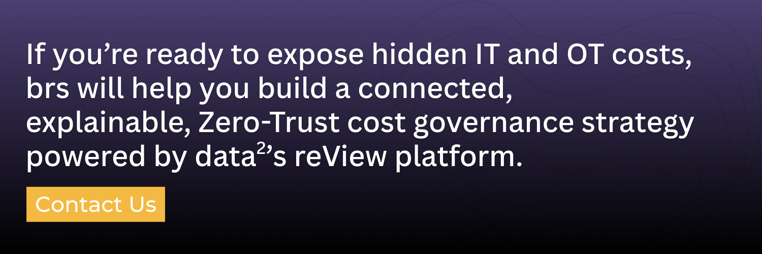 brs-IT-Visibility-Gap