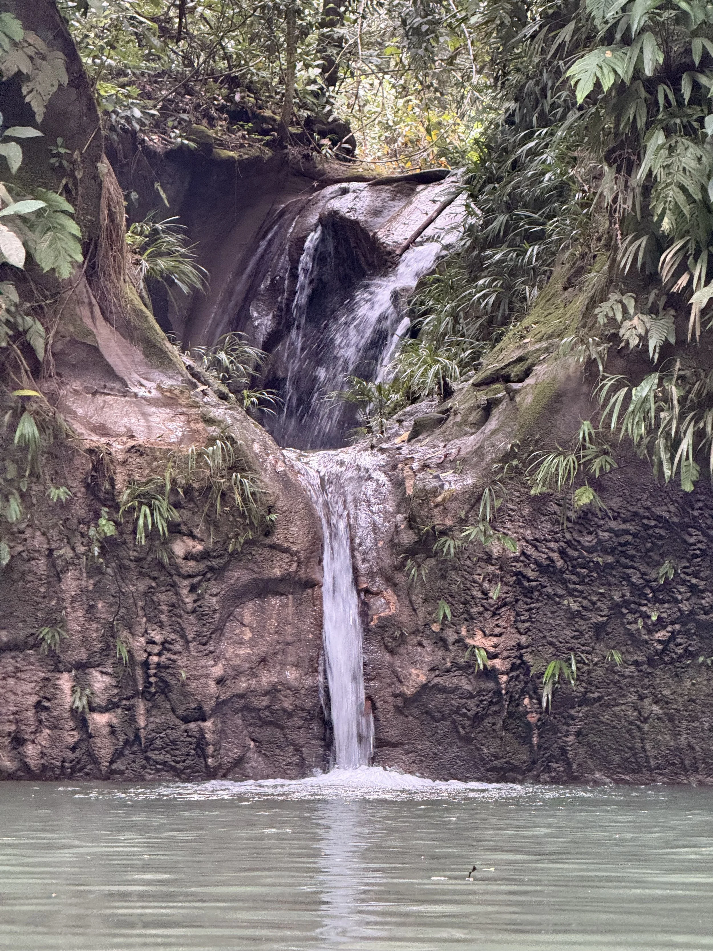 Finding Your Purpose: A Deeper Look