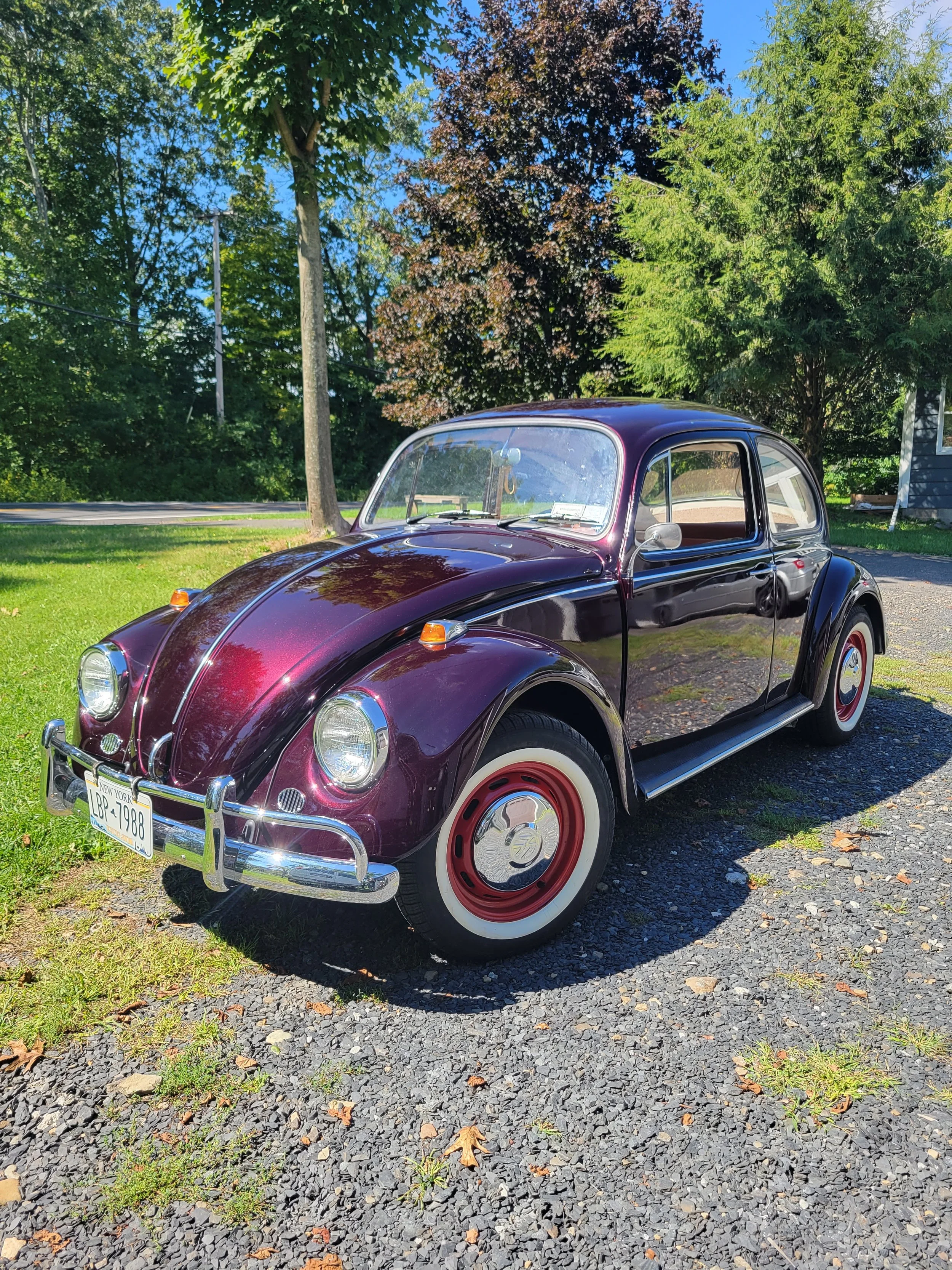 A vintage black Volkswagen Beetle parked on a gravel driveway amidst greenery with trees and a house in the background, under a bright blue sky.