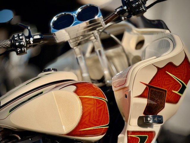 Custom Bagger 11.jpg