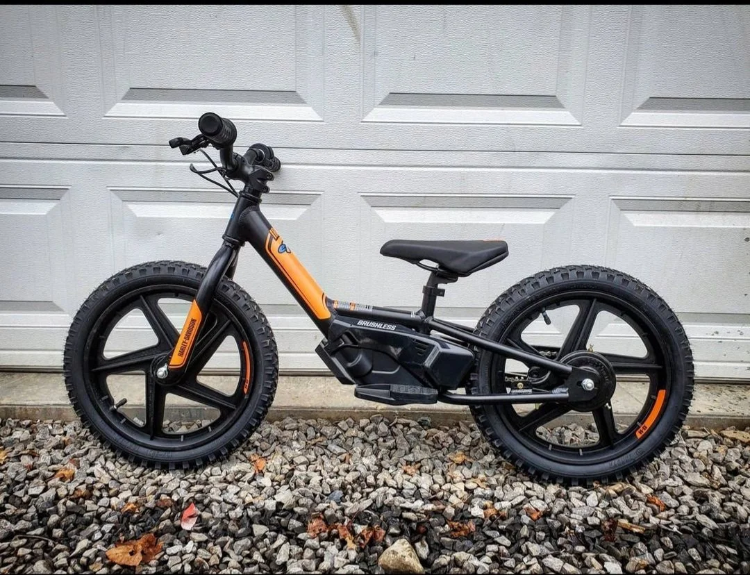 motorcycle paint job 26.jpg