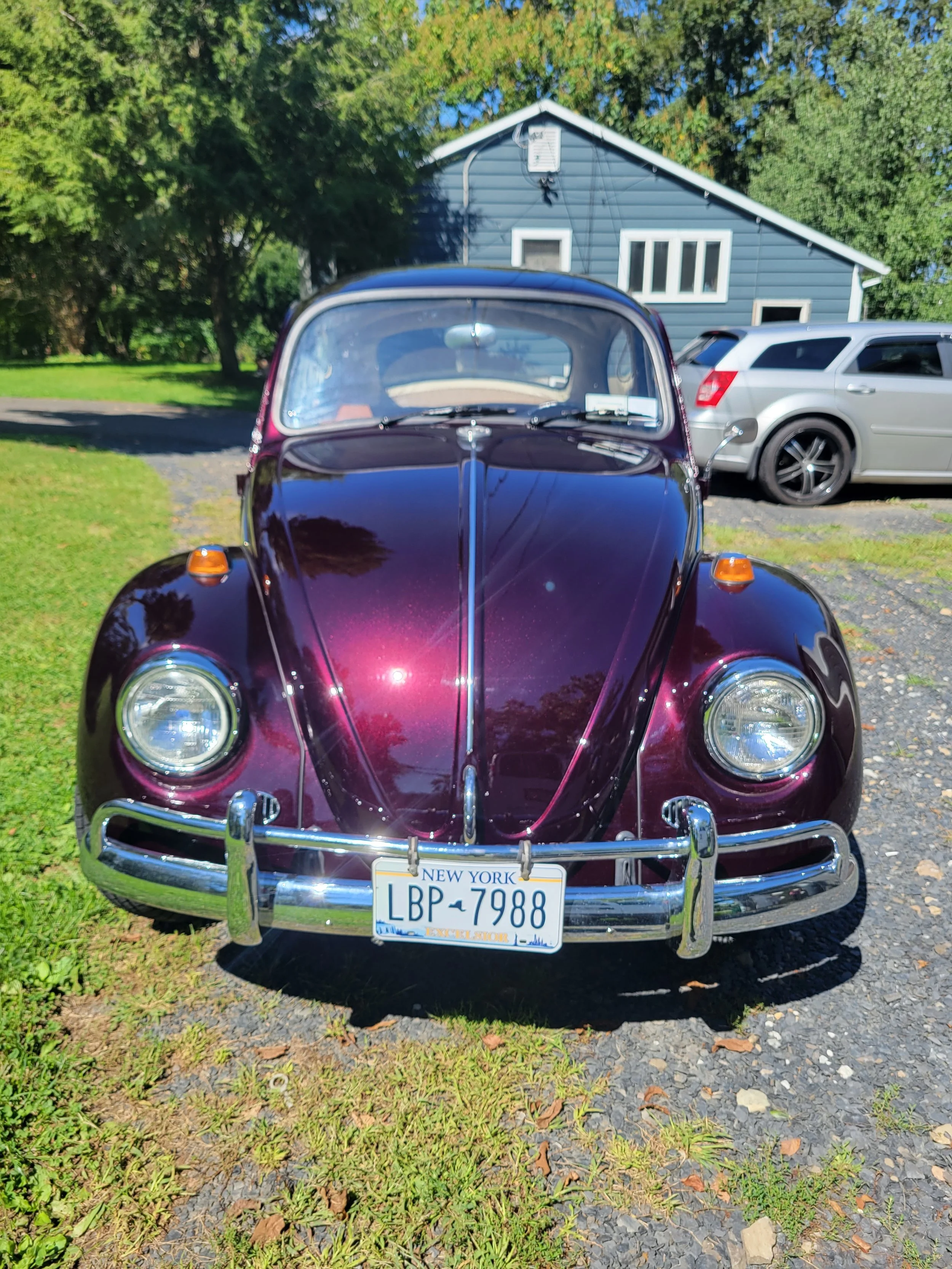 Front view of a vintage purple Volkswagen Beetle car with a New York license plate parked on grass and gravel driveway, with a blue house and trees in the background.