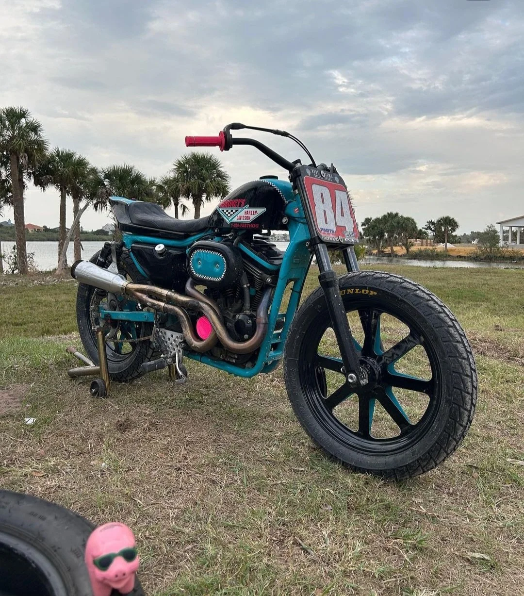 A customized Harley-Davidson motorcycle with a blue and black color scheme parked on grass near a body of water, with trees and cloudy sky in the background.