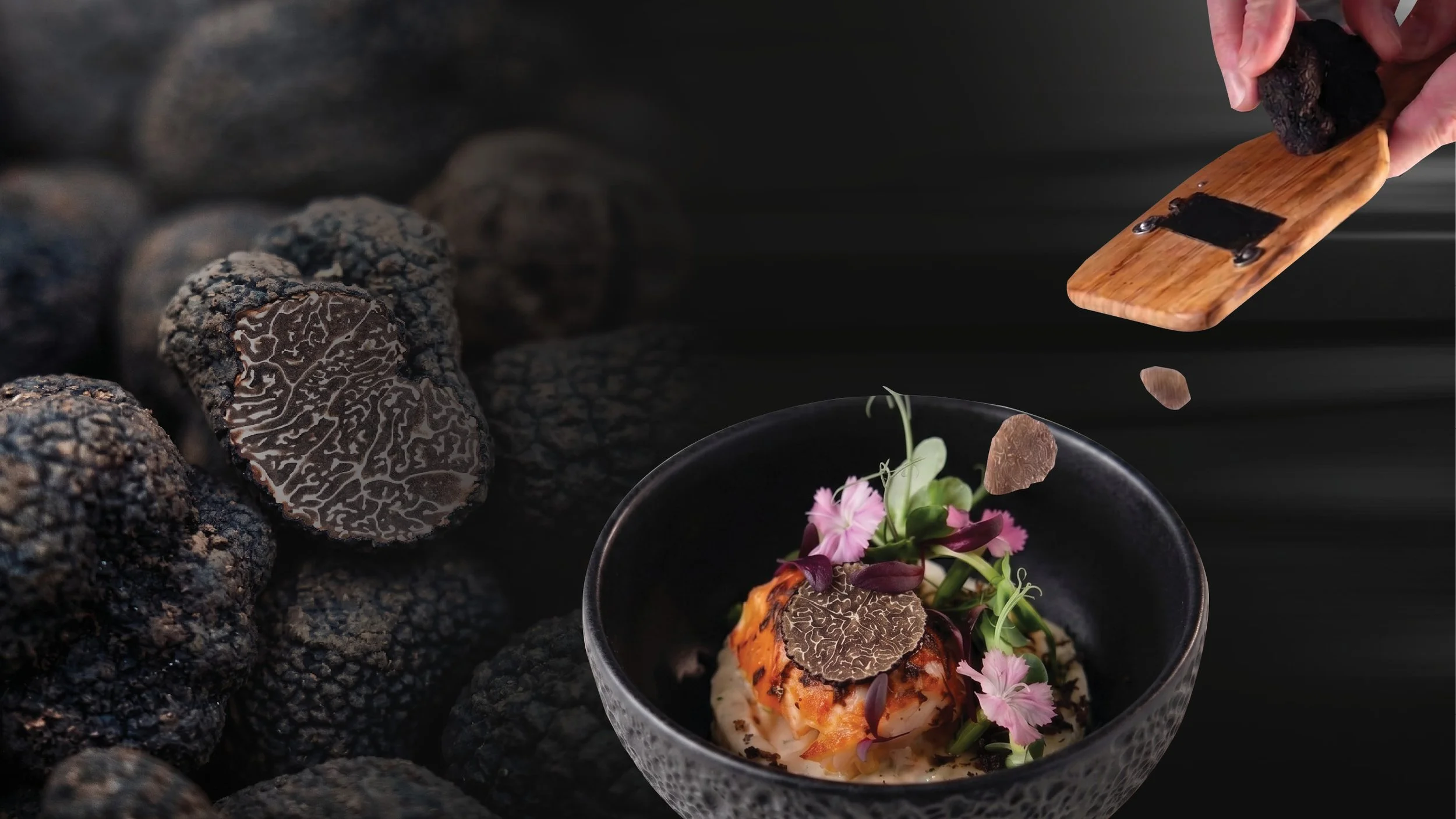Tendo-Omakase-wild-black-truffle