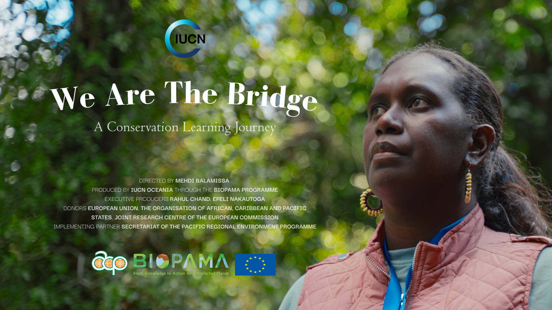 we are the bridge cover.png