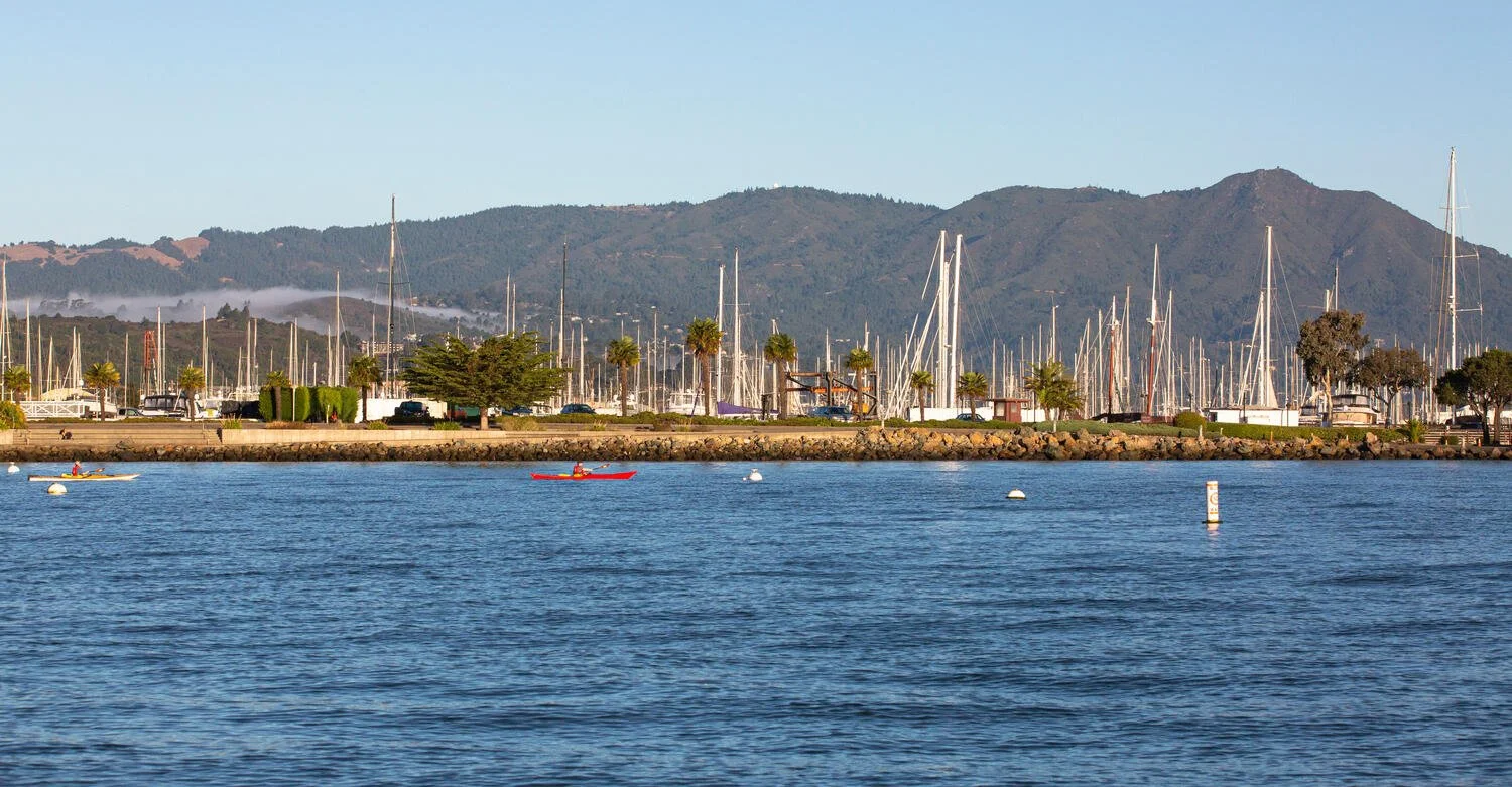 32 Crescent Ave Sausalito CA-large-045-049-S3A9269-1500x782-72dpi.jpg