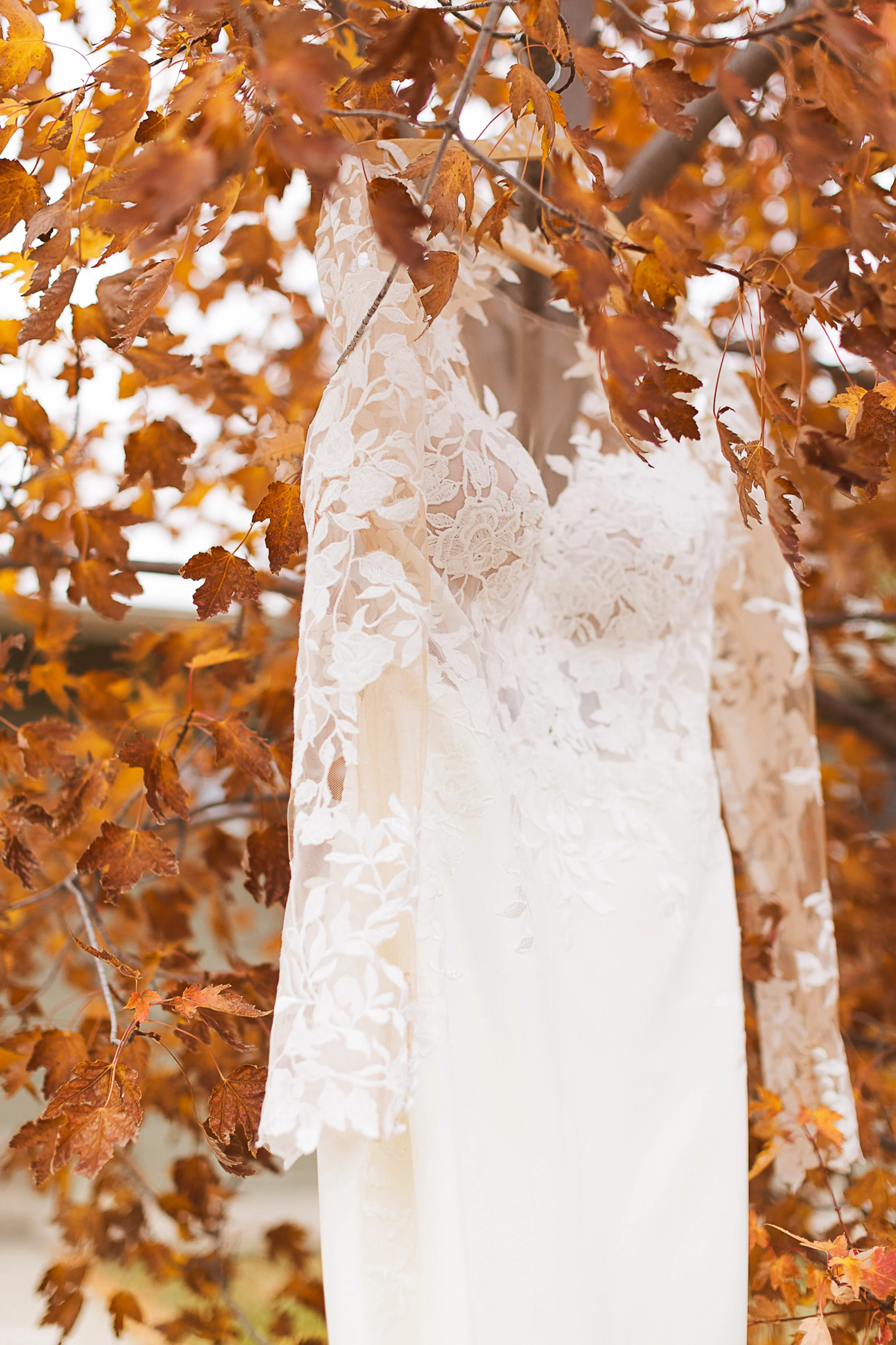 WEBSITE TEST2-54.jpg