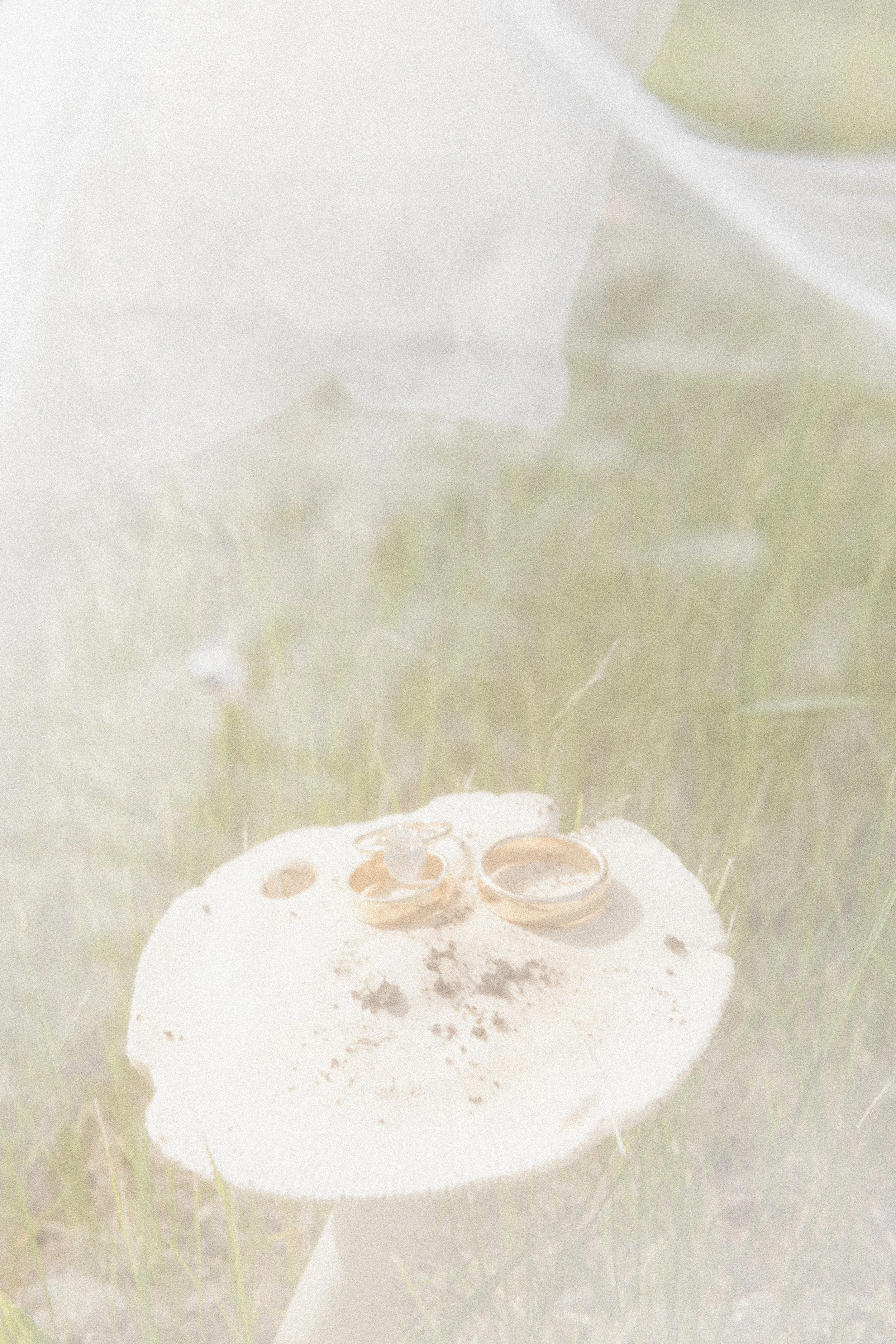 WEBSITE TEST2-41.jpg