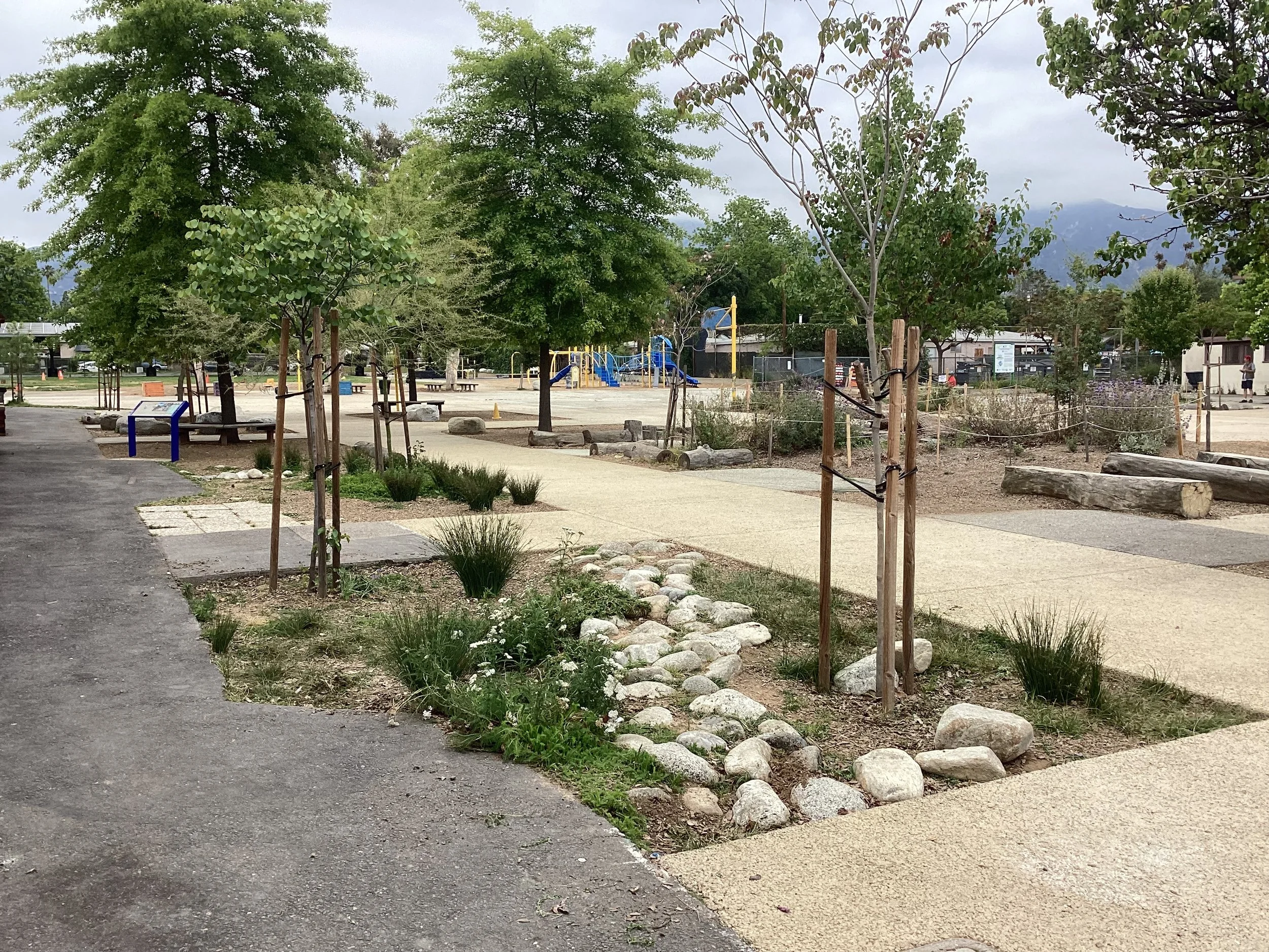 IMG_0784 - Alyson Mello.JPG