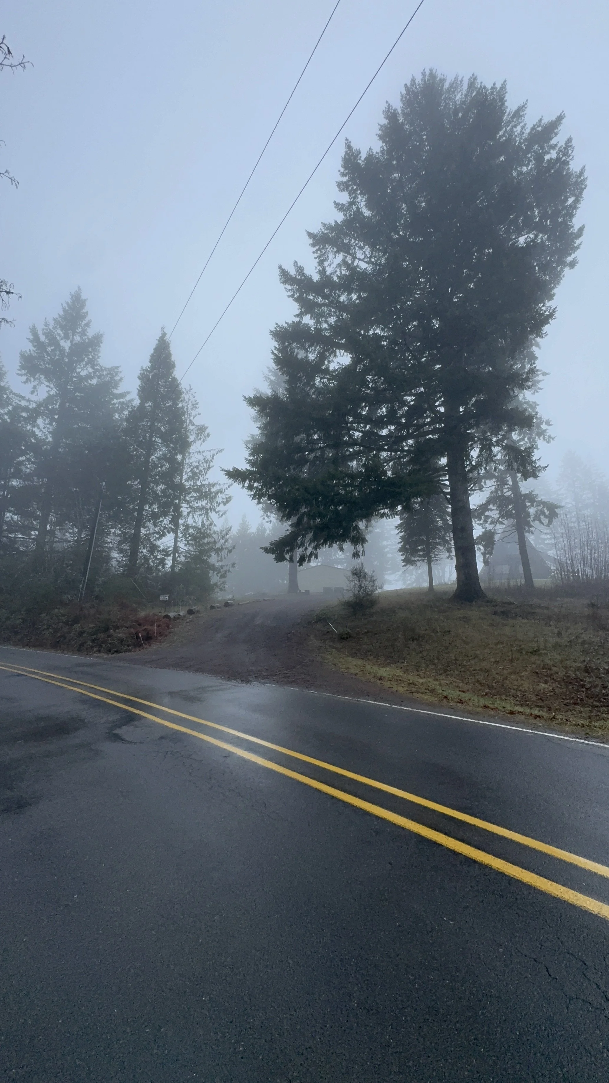 Vintage Warehouse Weekend at Oregon Thrift in North Plains Oregon vintage warehouse