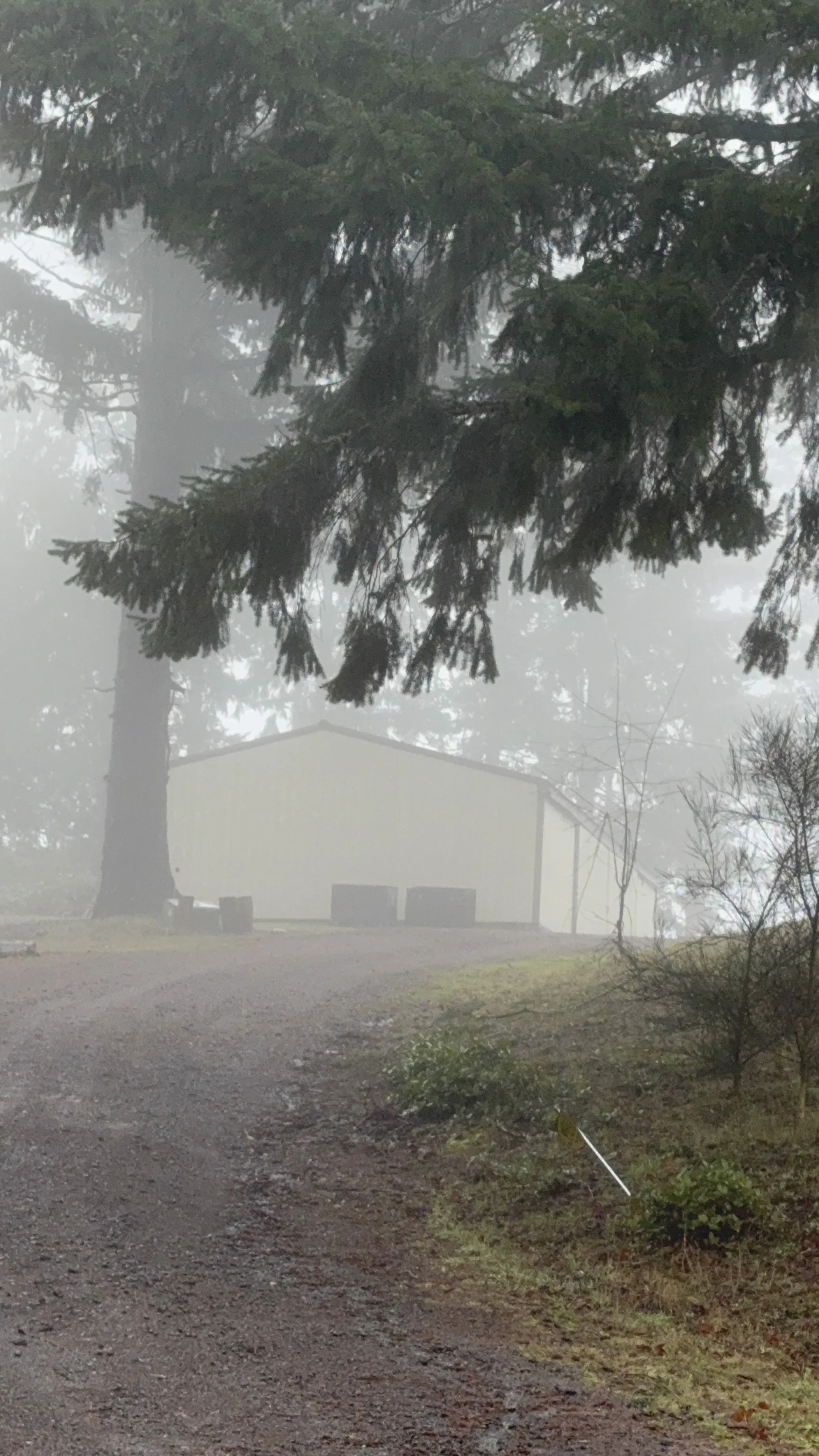 Vintage Warehouse Weekend at Oregon Thrift in North Plains Oregon vintage warehouse