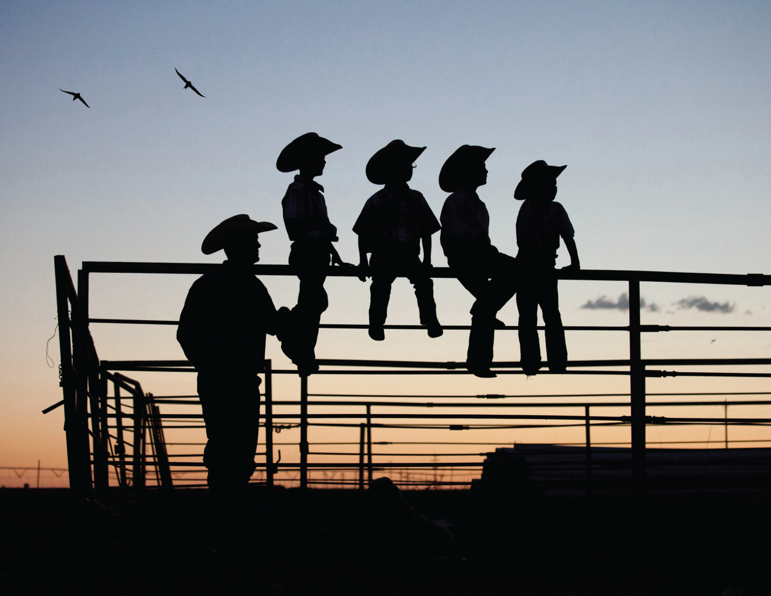 Silhouette of five children wearing cowboy hats sitting on and standing next to a fence during sunset, with two birds flying in the sky.