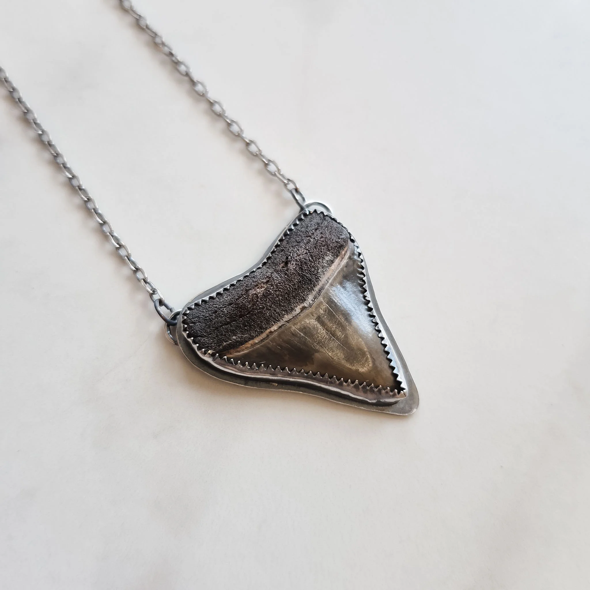Great White Shark Tooth Necklace - Large
