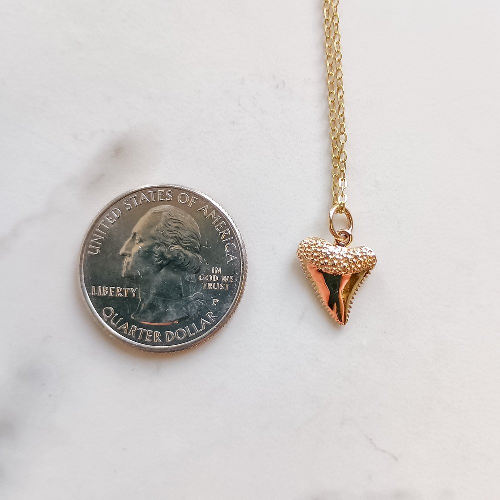 shark-tooth-charm-necklace-size-1.jpg